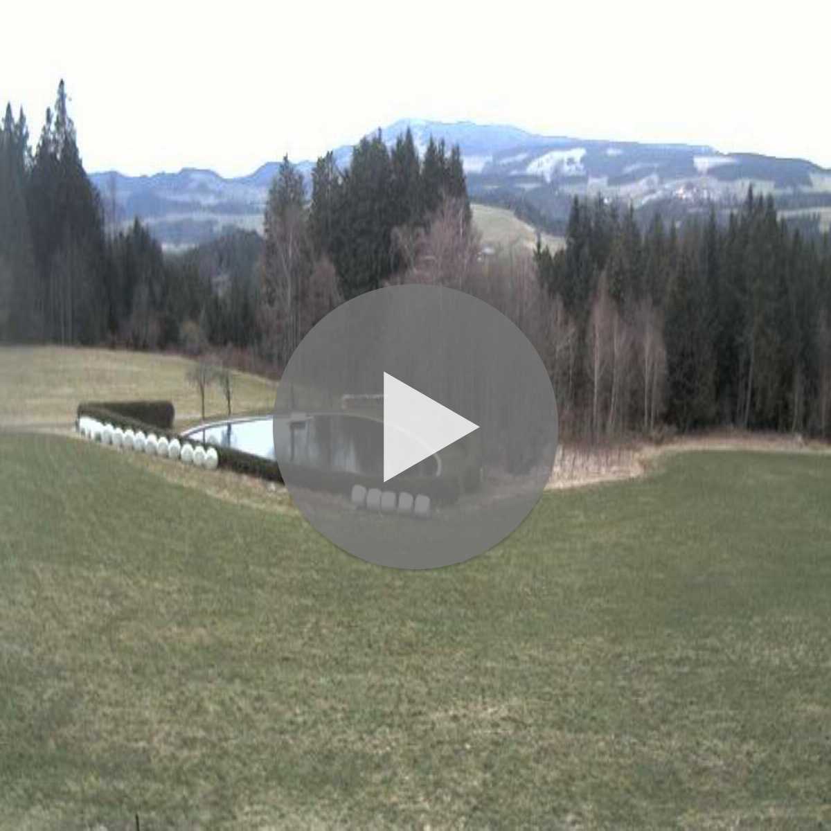 Schallstadt webcam