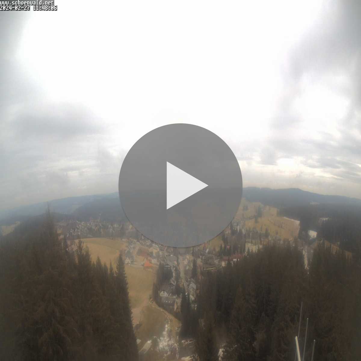 Schallstadt webcam