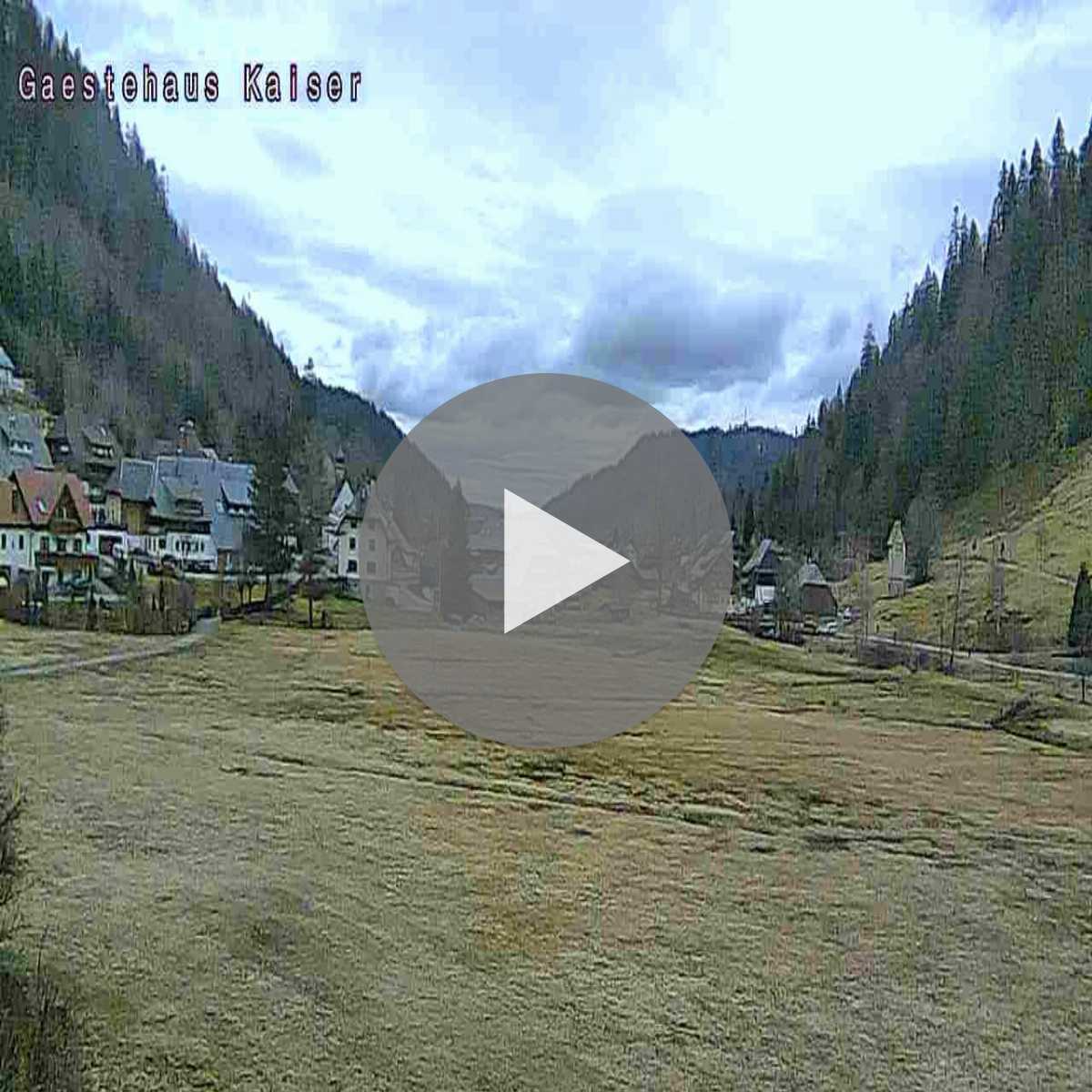 Schallstadt webcam