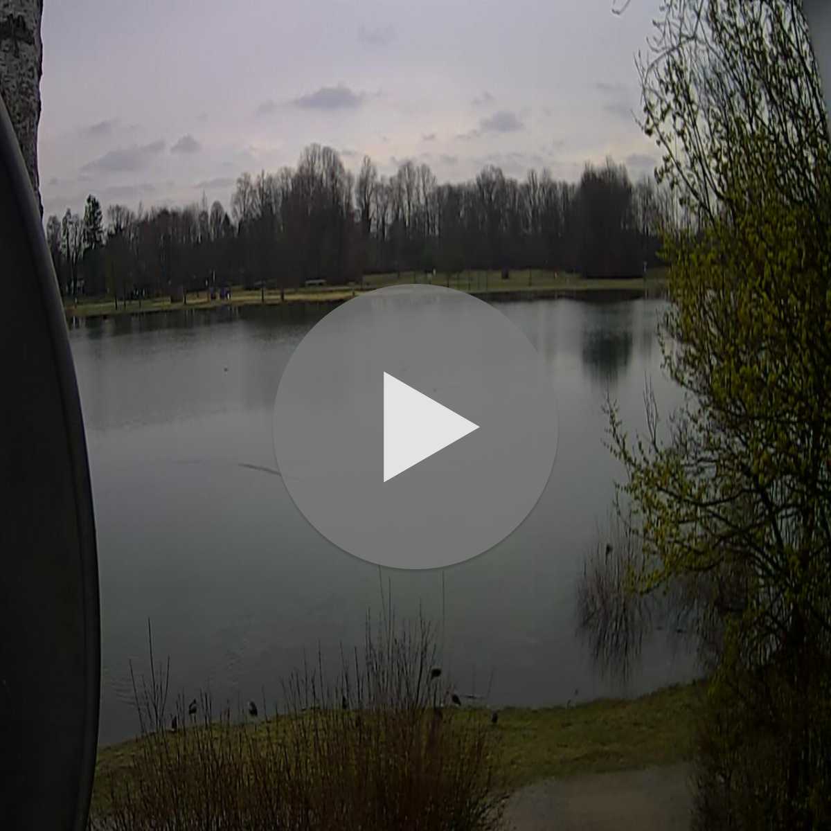 Zachenberg webcam