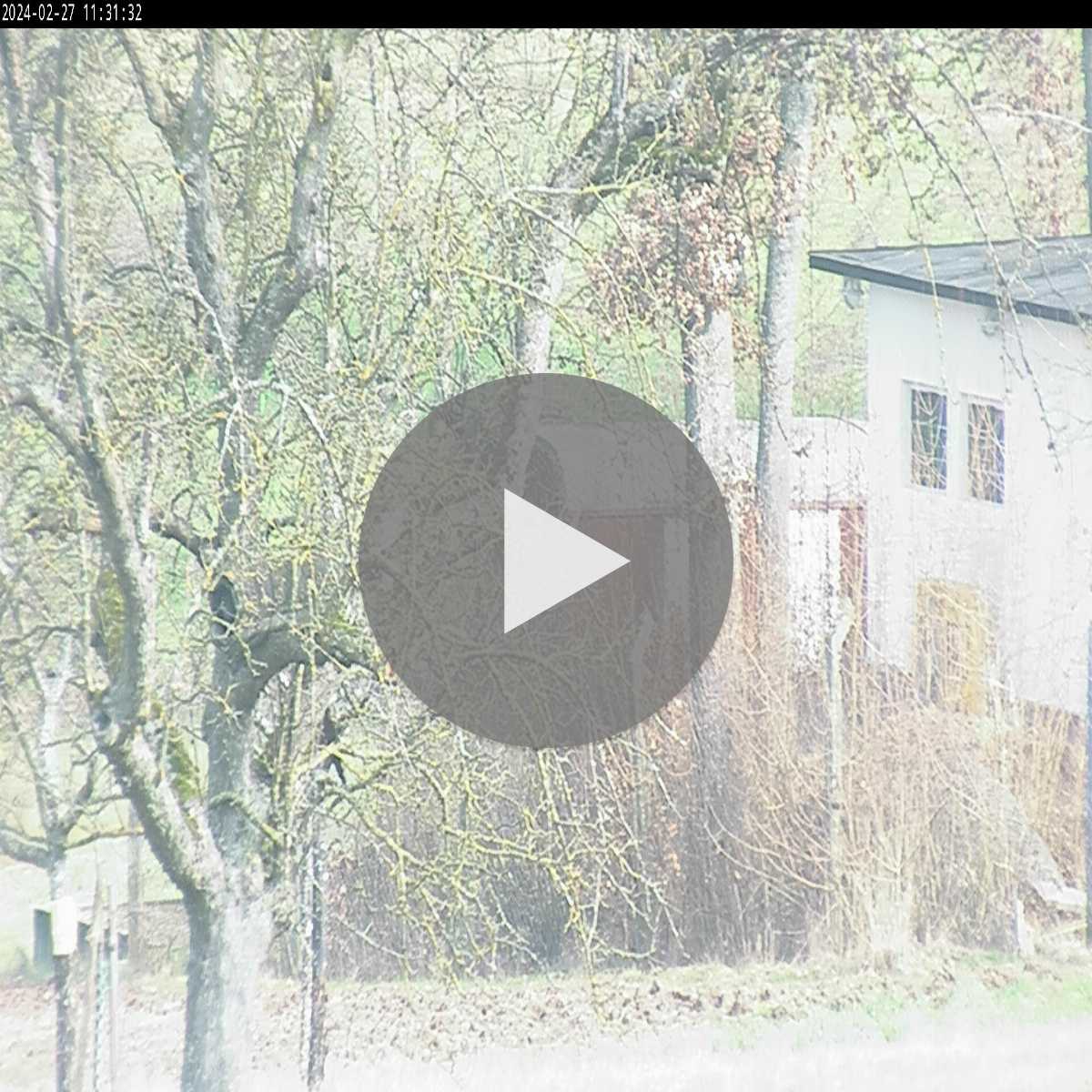 Zachenberg webcam