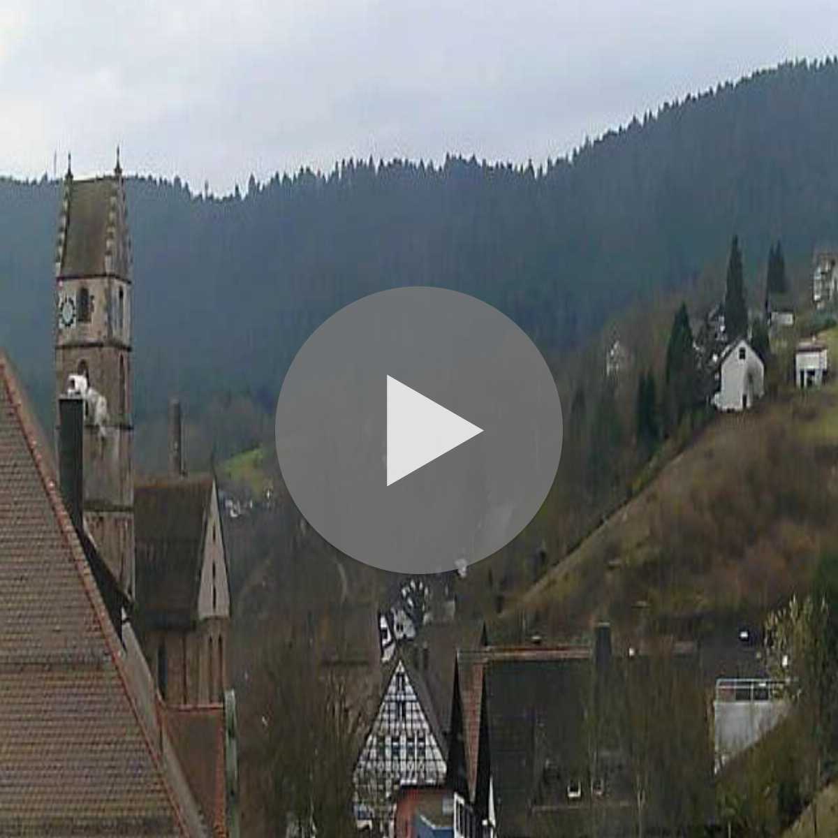 Schallstadt webcam