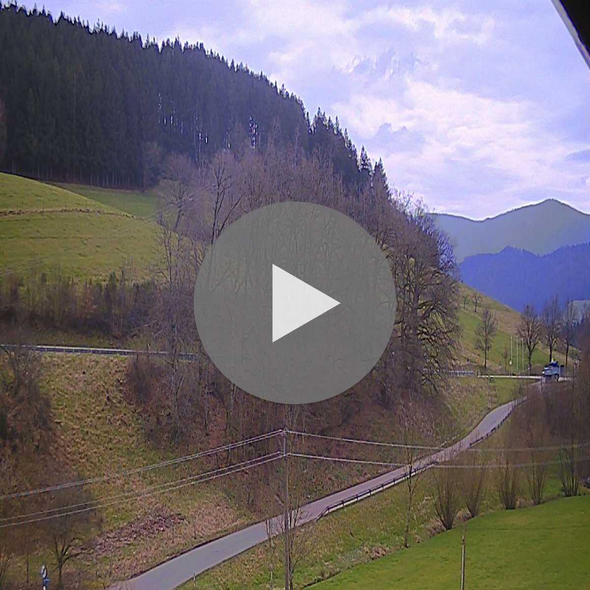 Schallstadt webcam