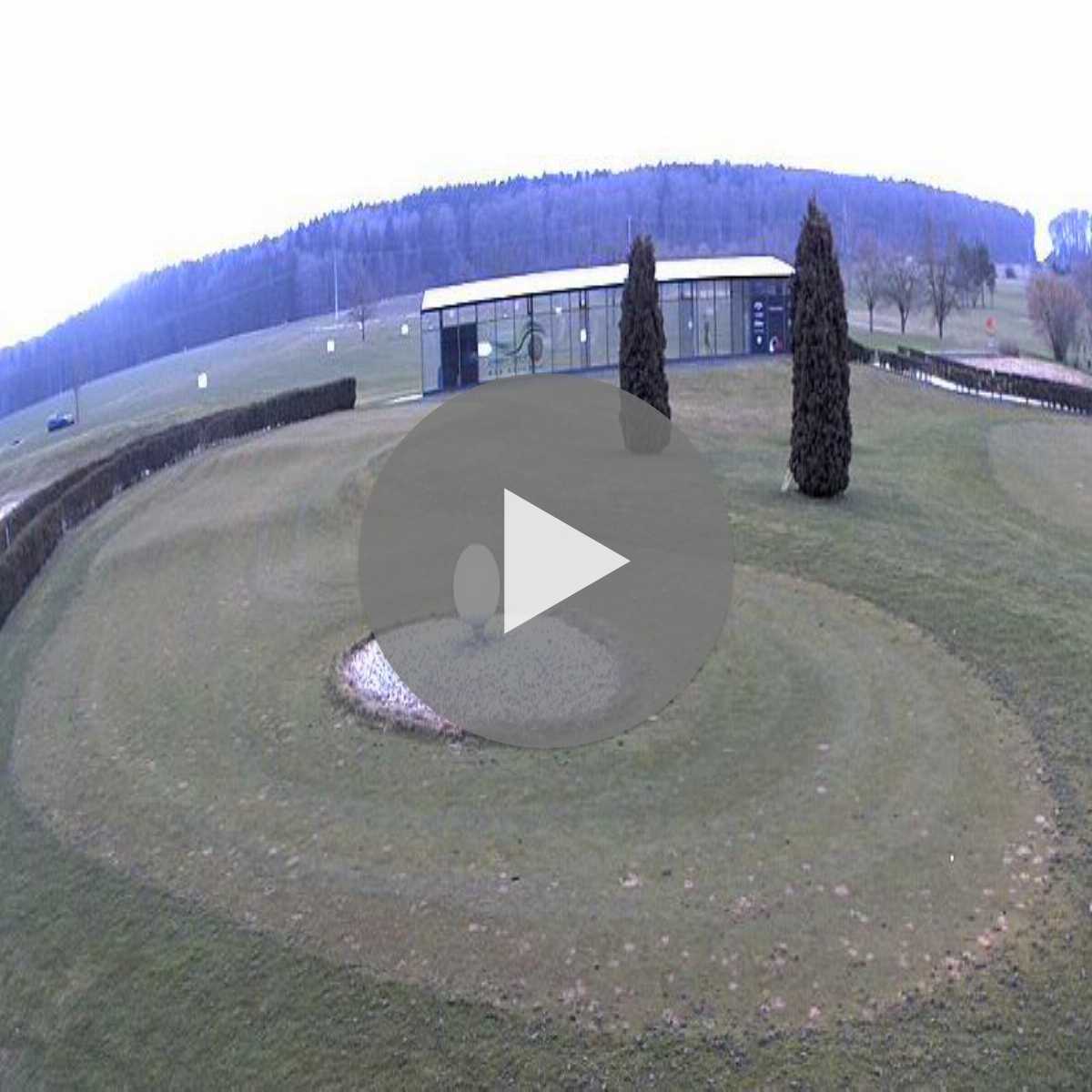 Schallstadt webcam