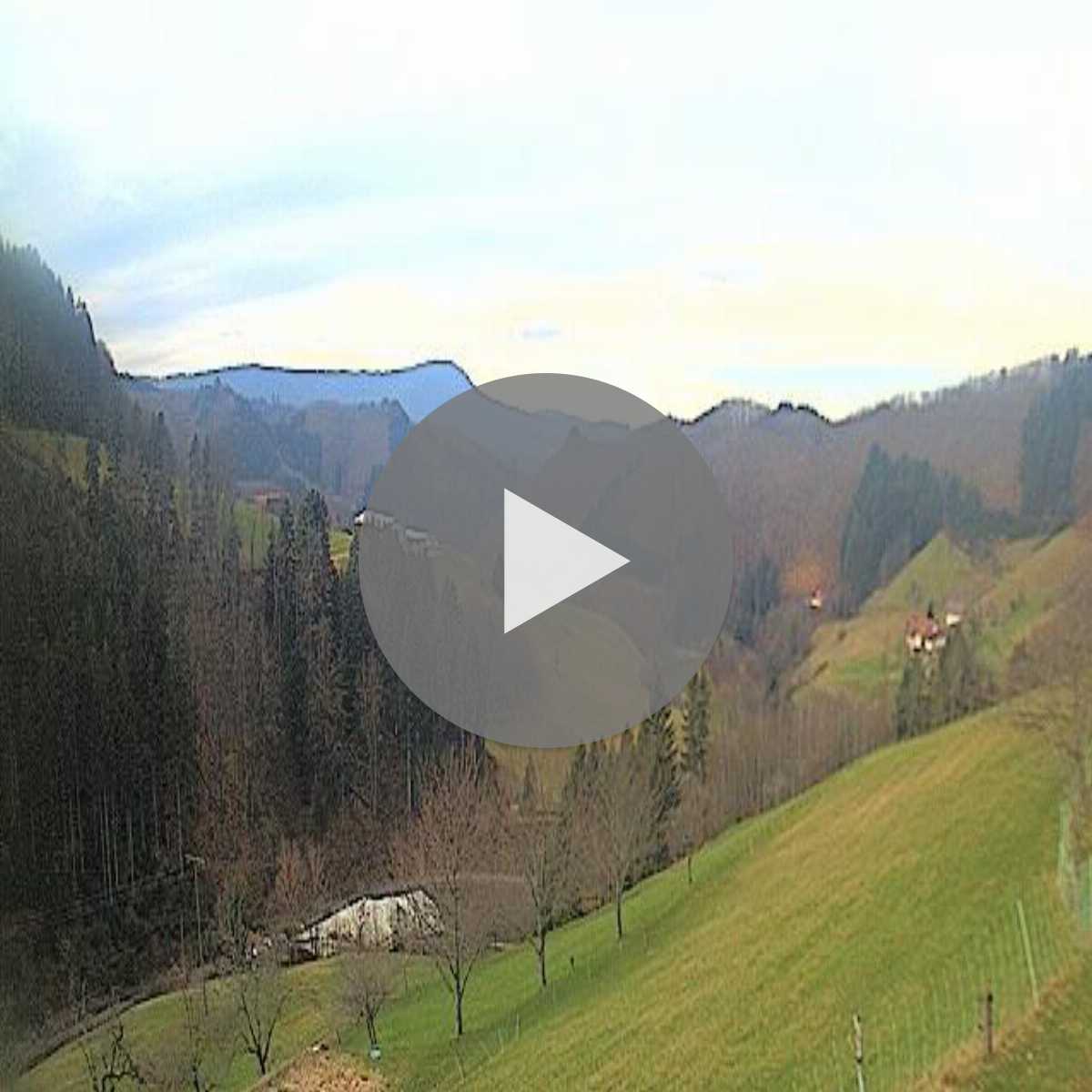 Schallstadt webcam