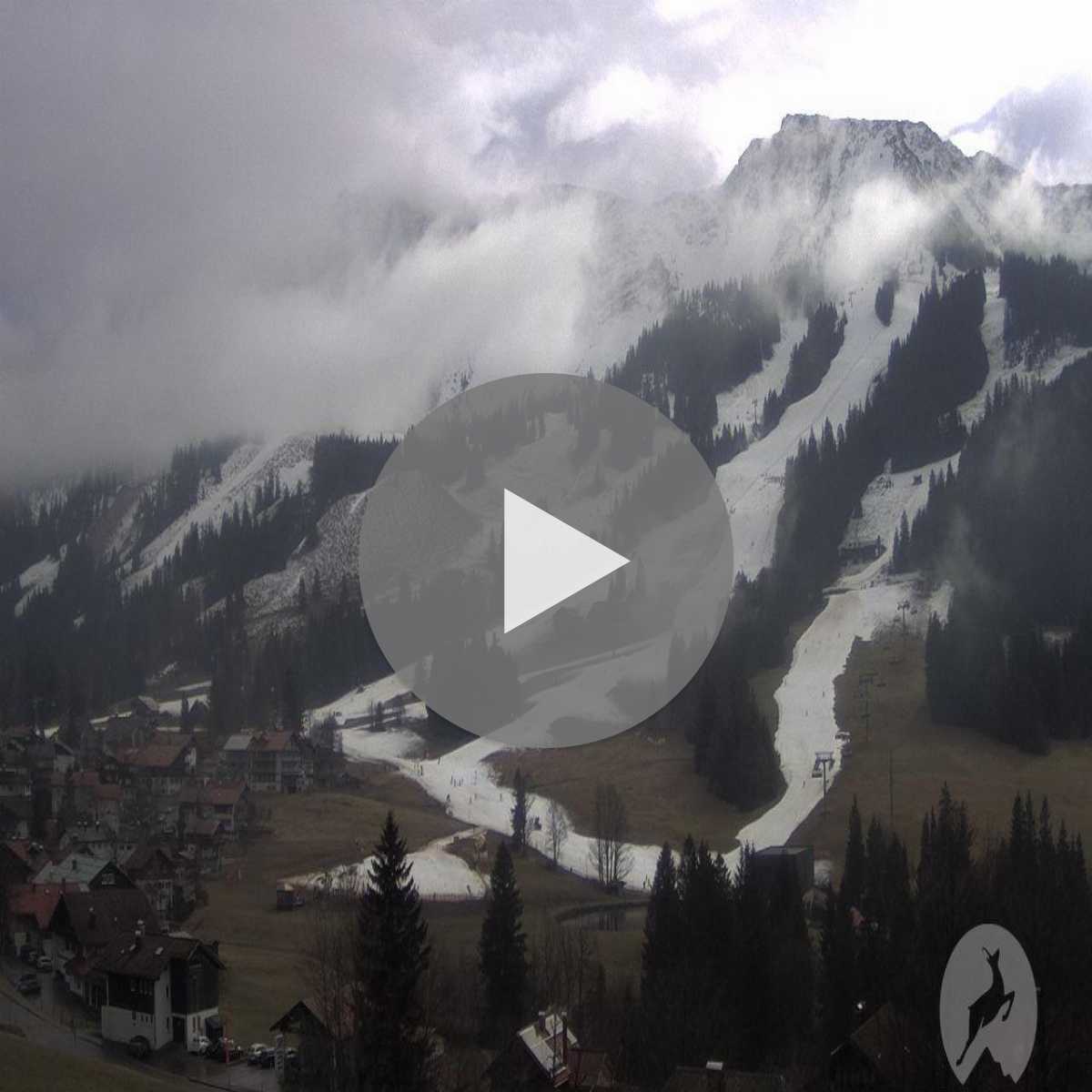 Zachenberg webcam