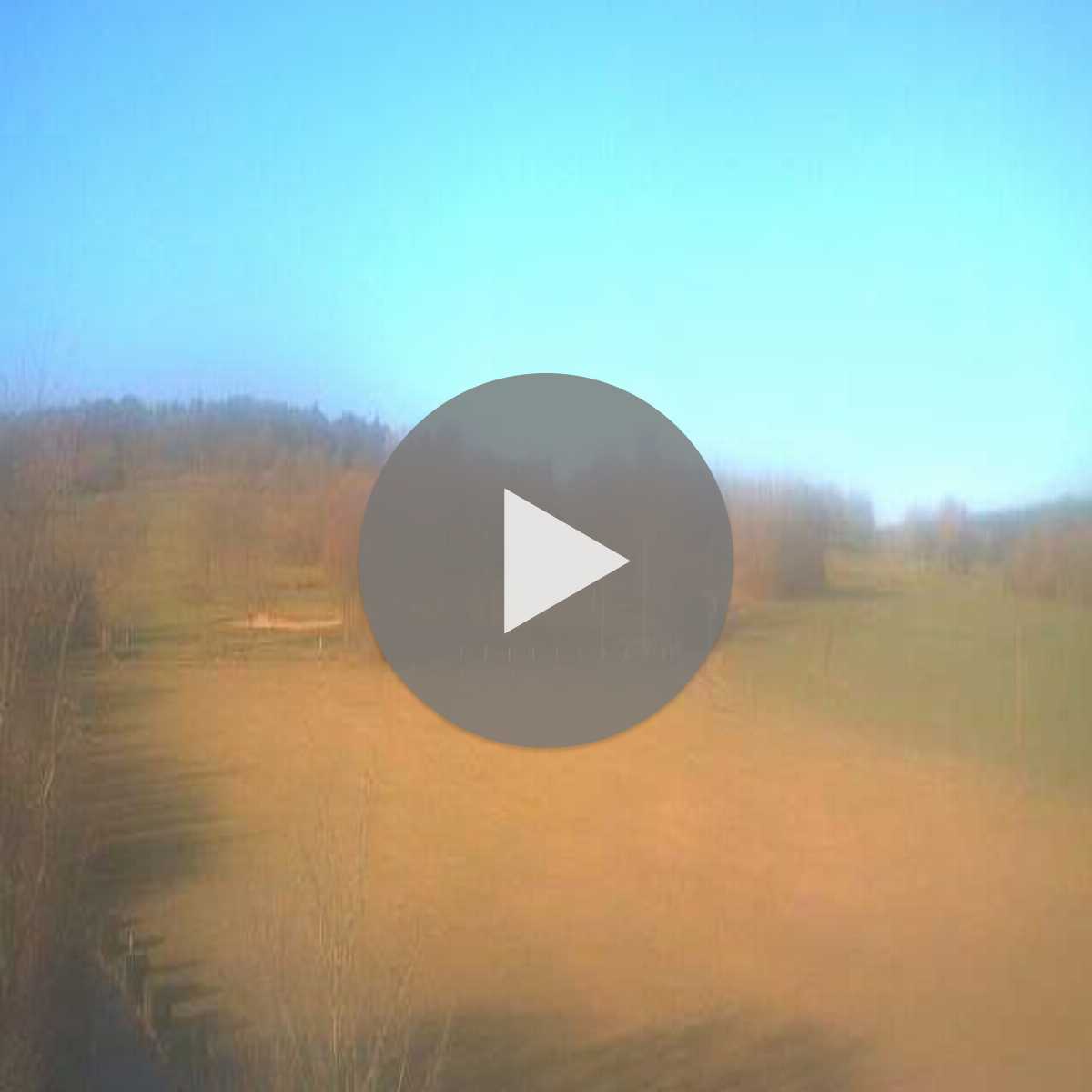 Riesenbeck webcam