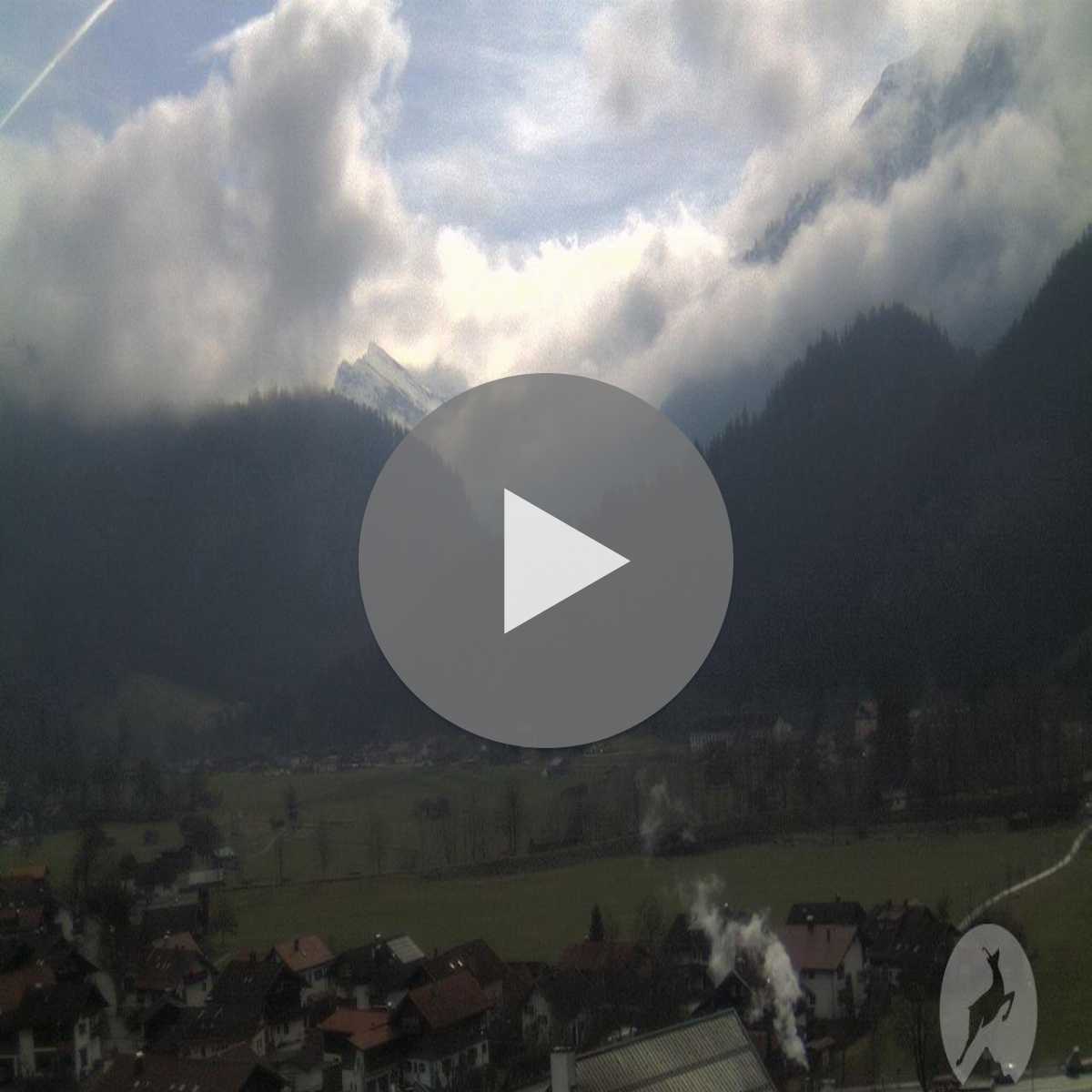 Zachenberg webcam
