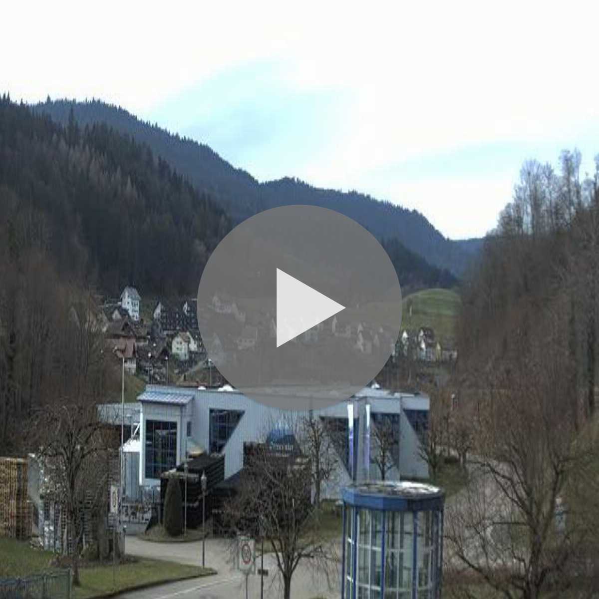 Schallstadt webcam