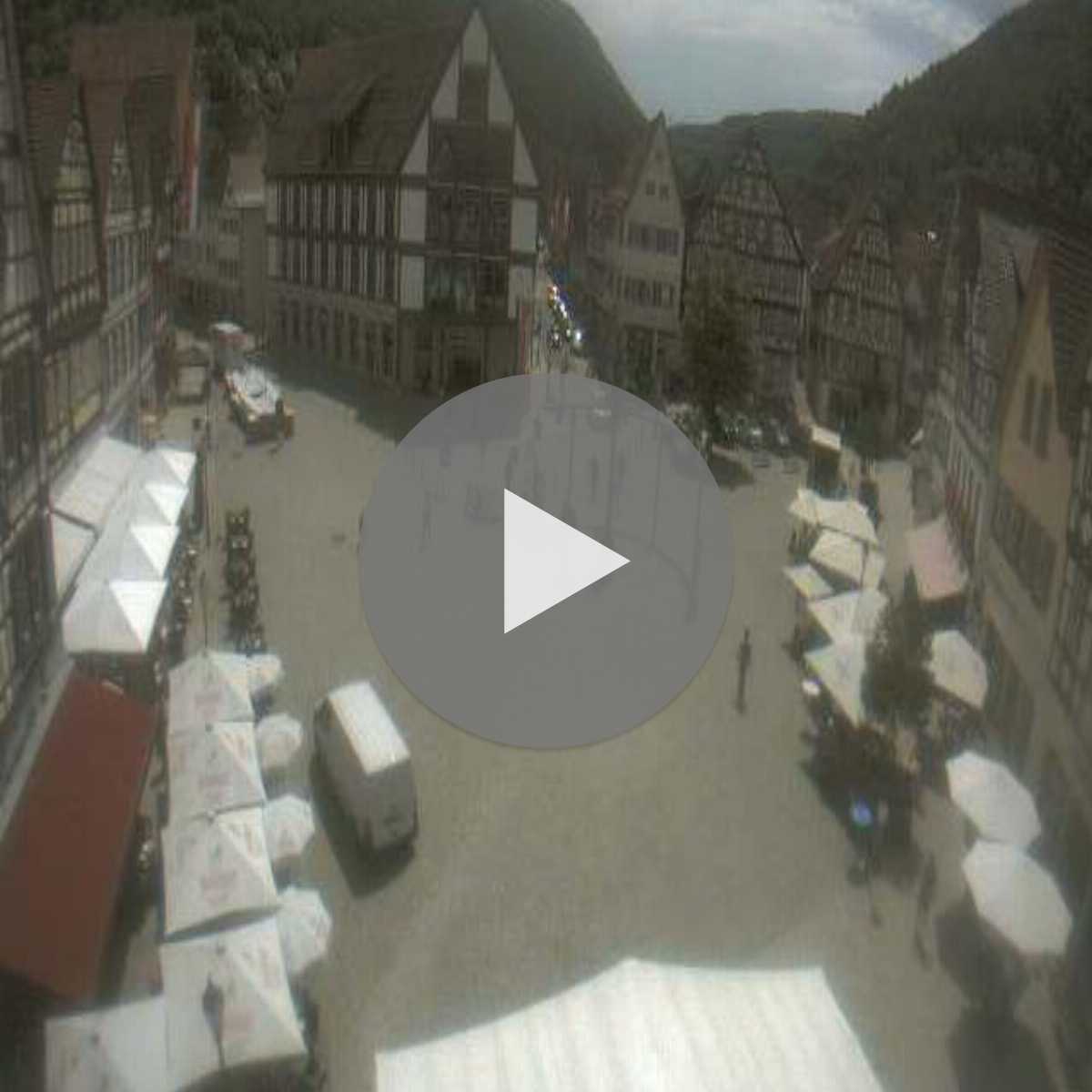 Schallstadt webcam