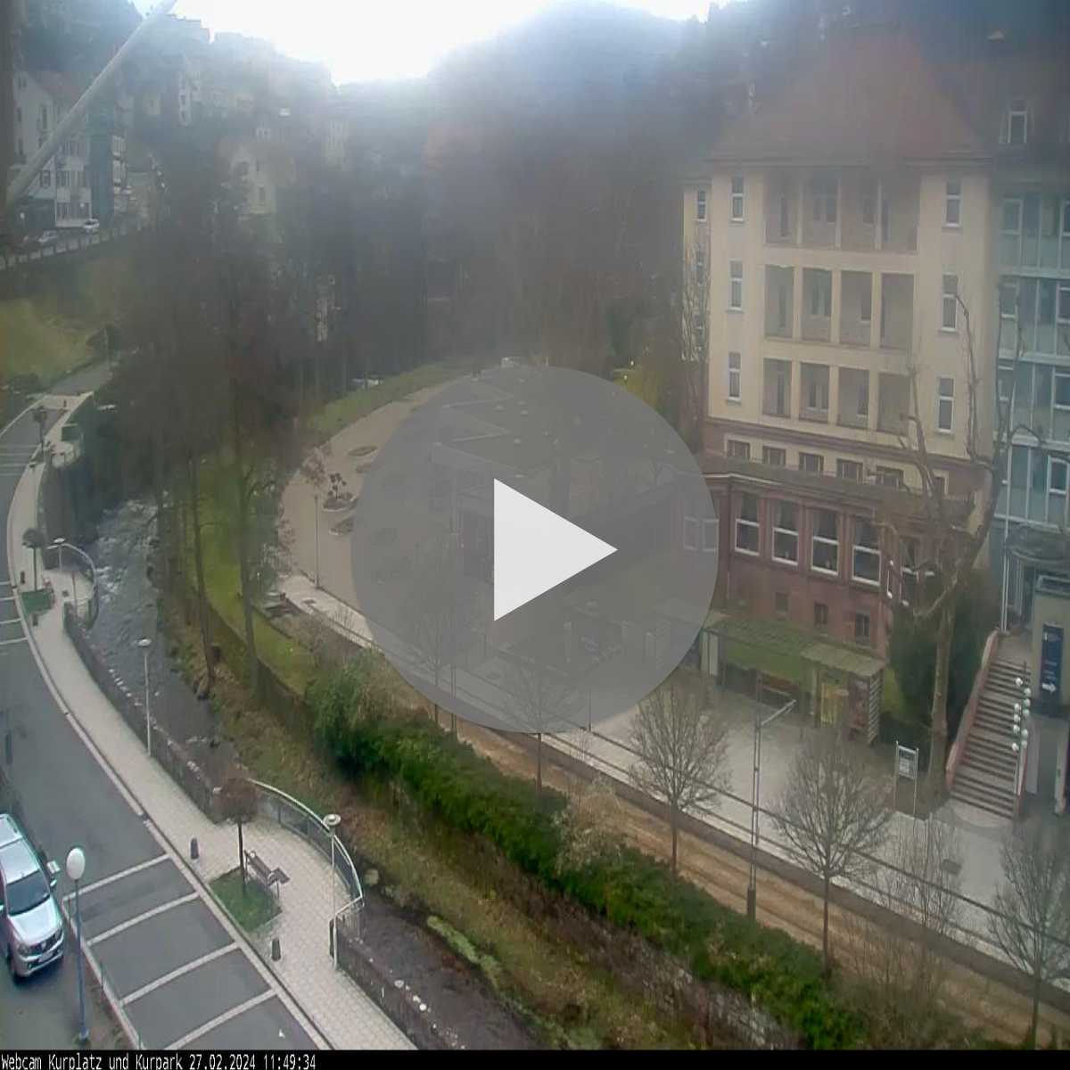 Schallstadt webcam