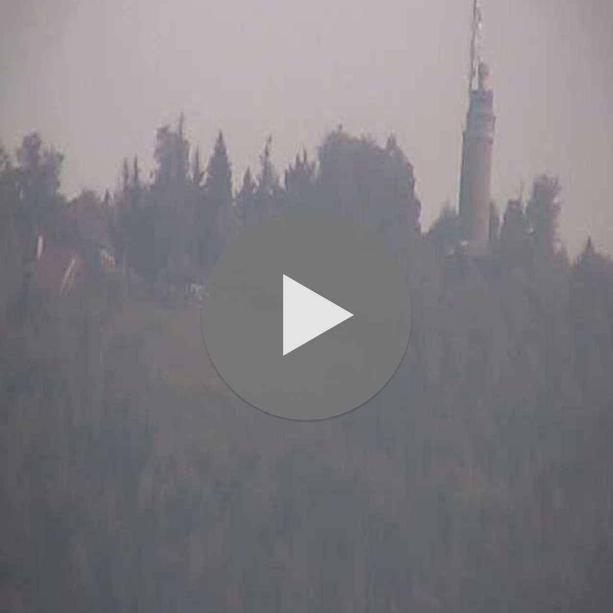 Schallstadt webcam