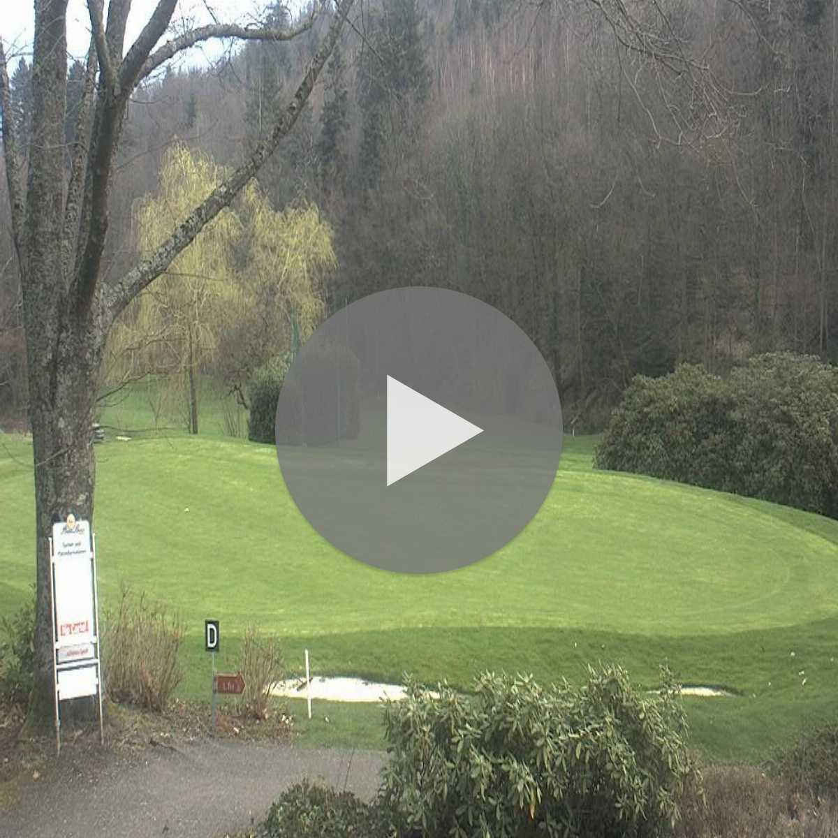 Schallstadt webcam