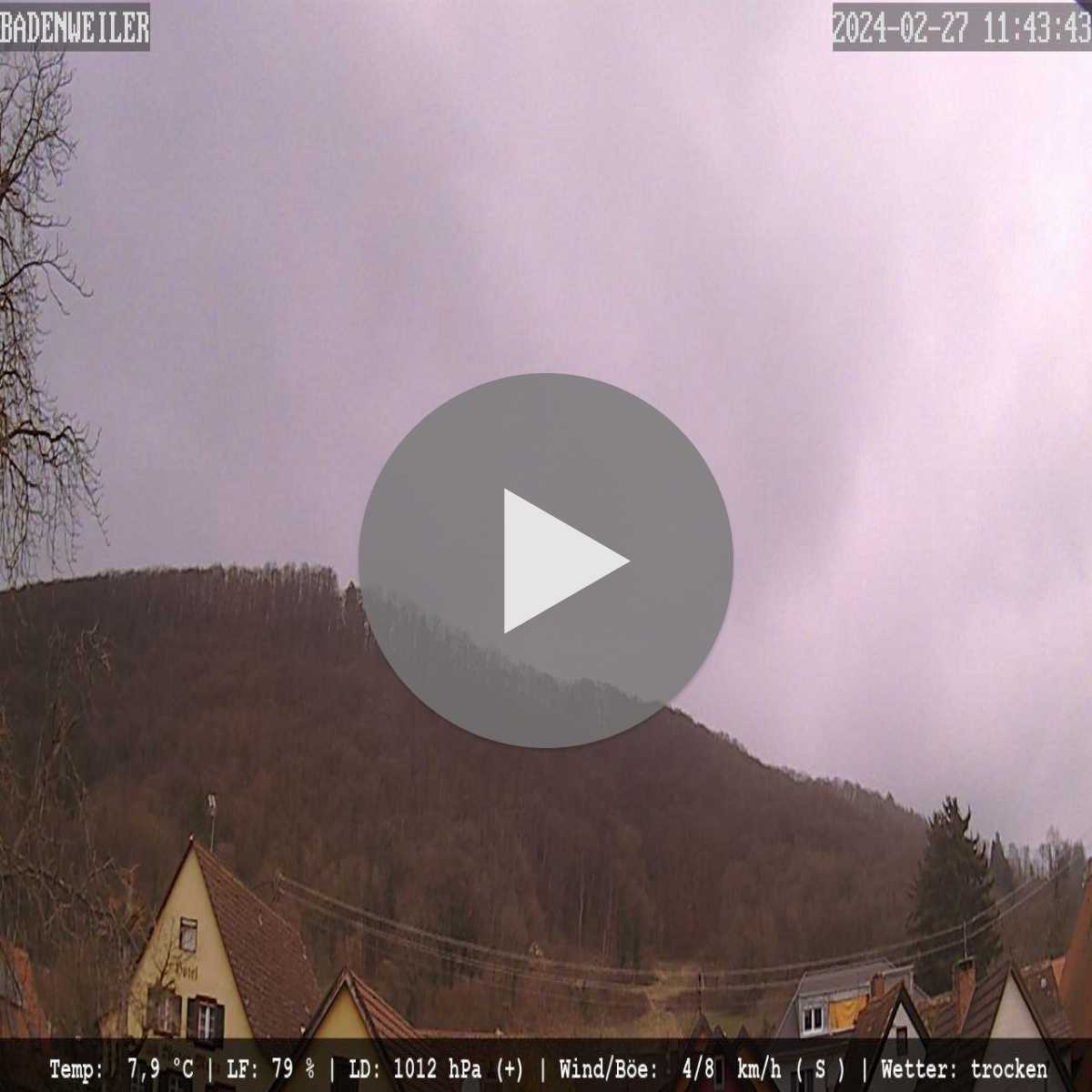 Schallstadt webcam