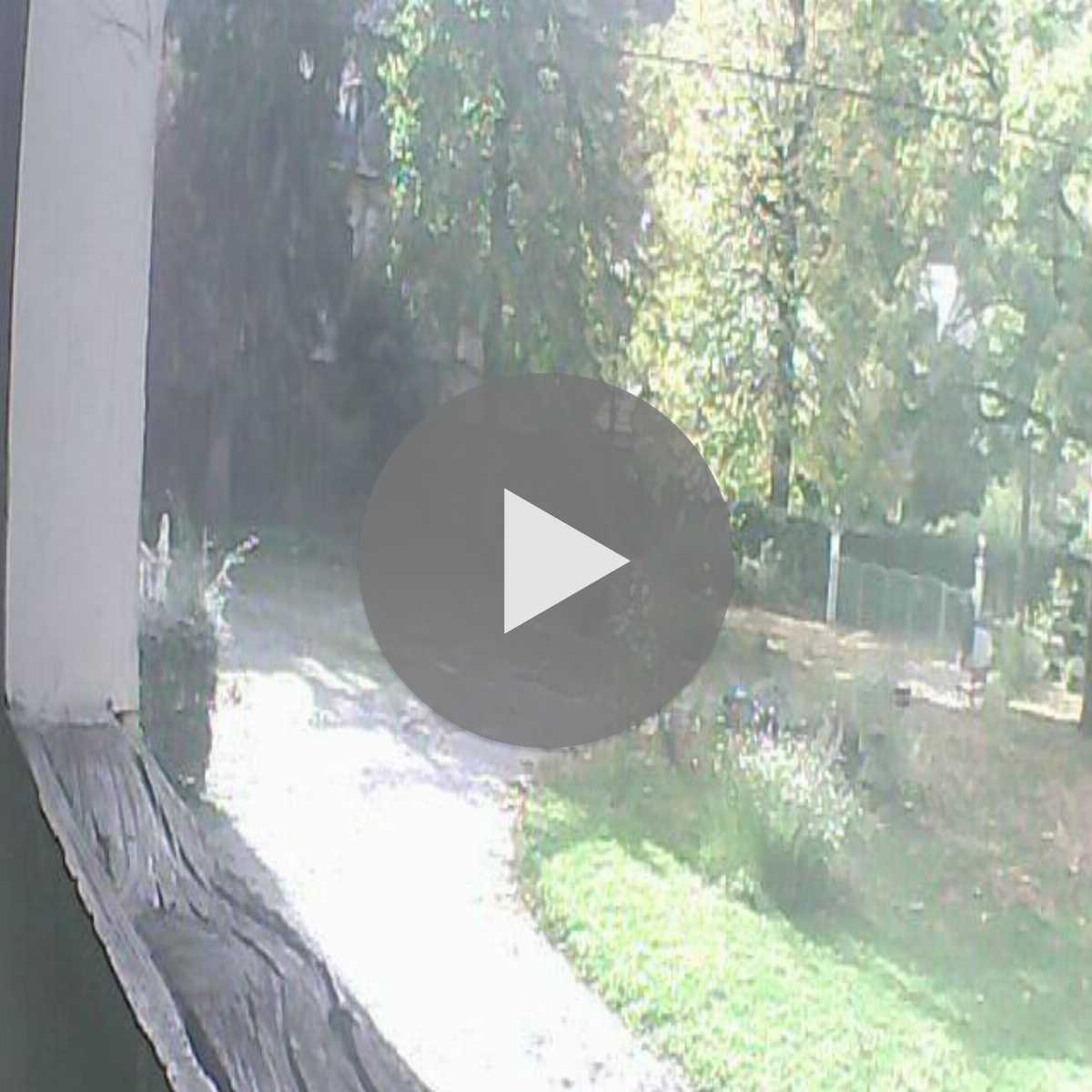 Auzat webcam