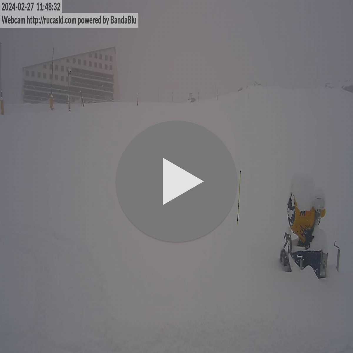 Chiappi webcam
