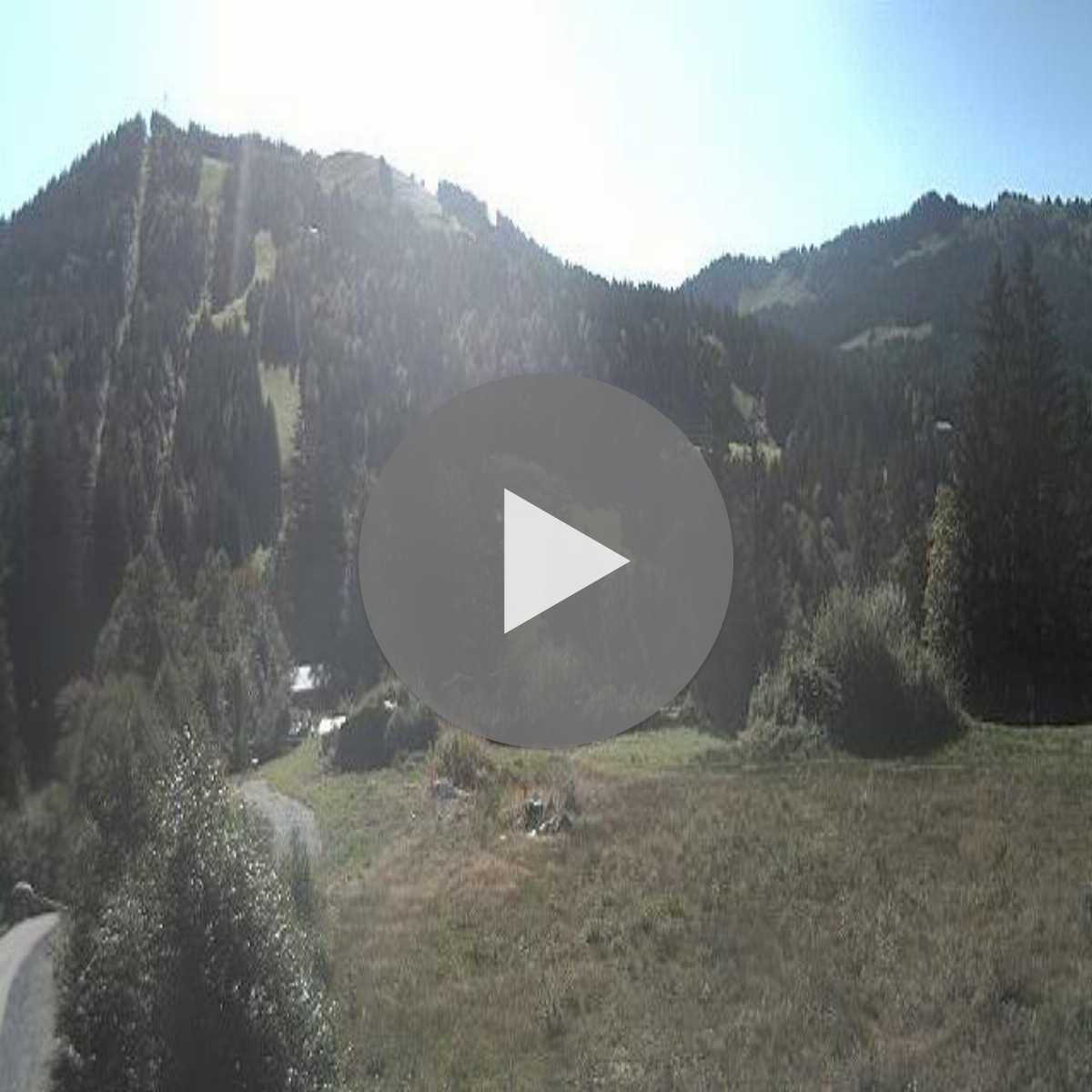 Zachenberg webcam