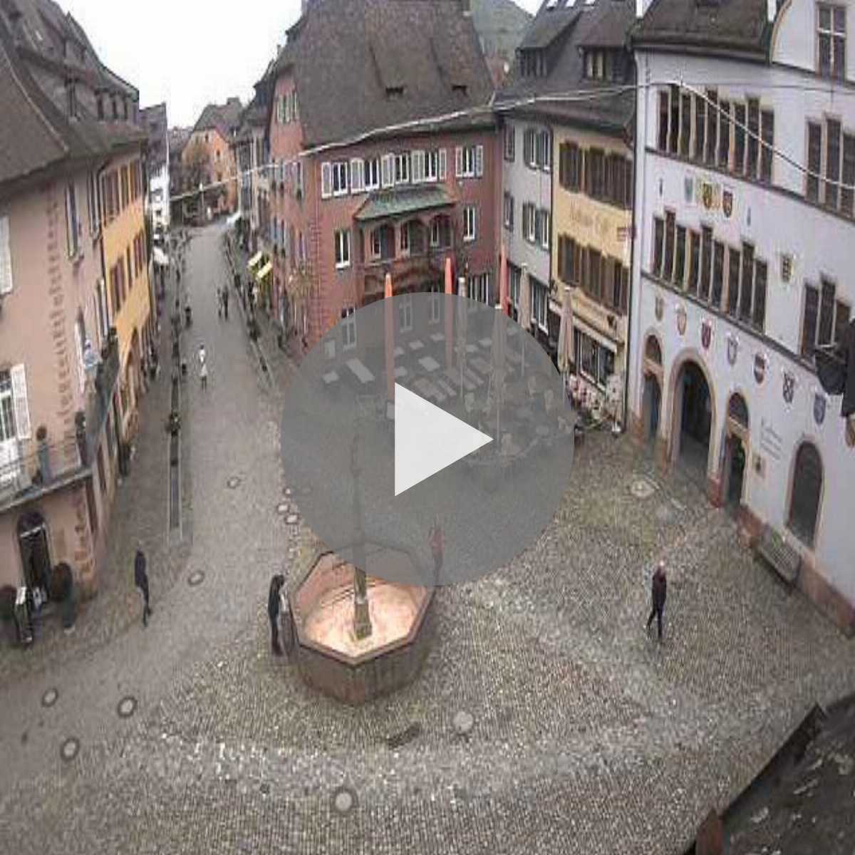 Schallstadt webcam
