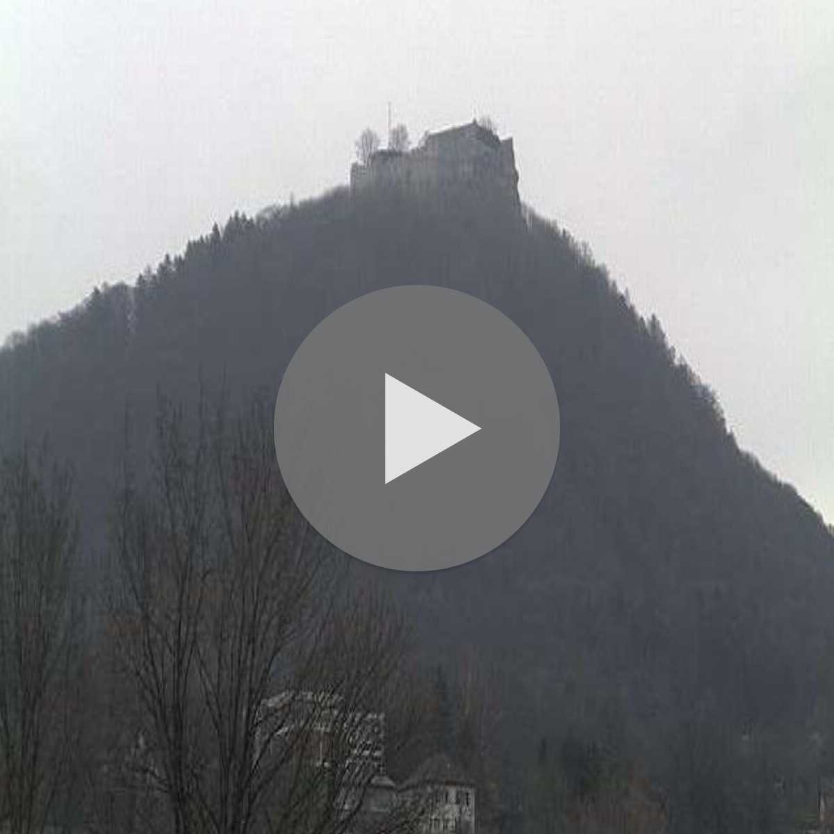 Schallstadt webcam