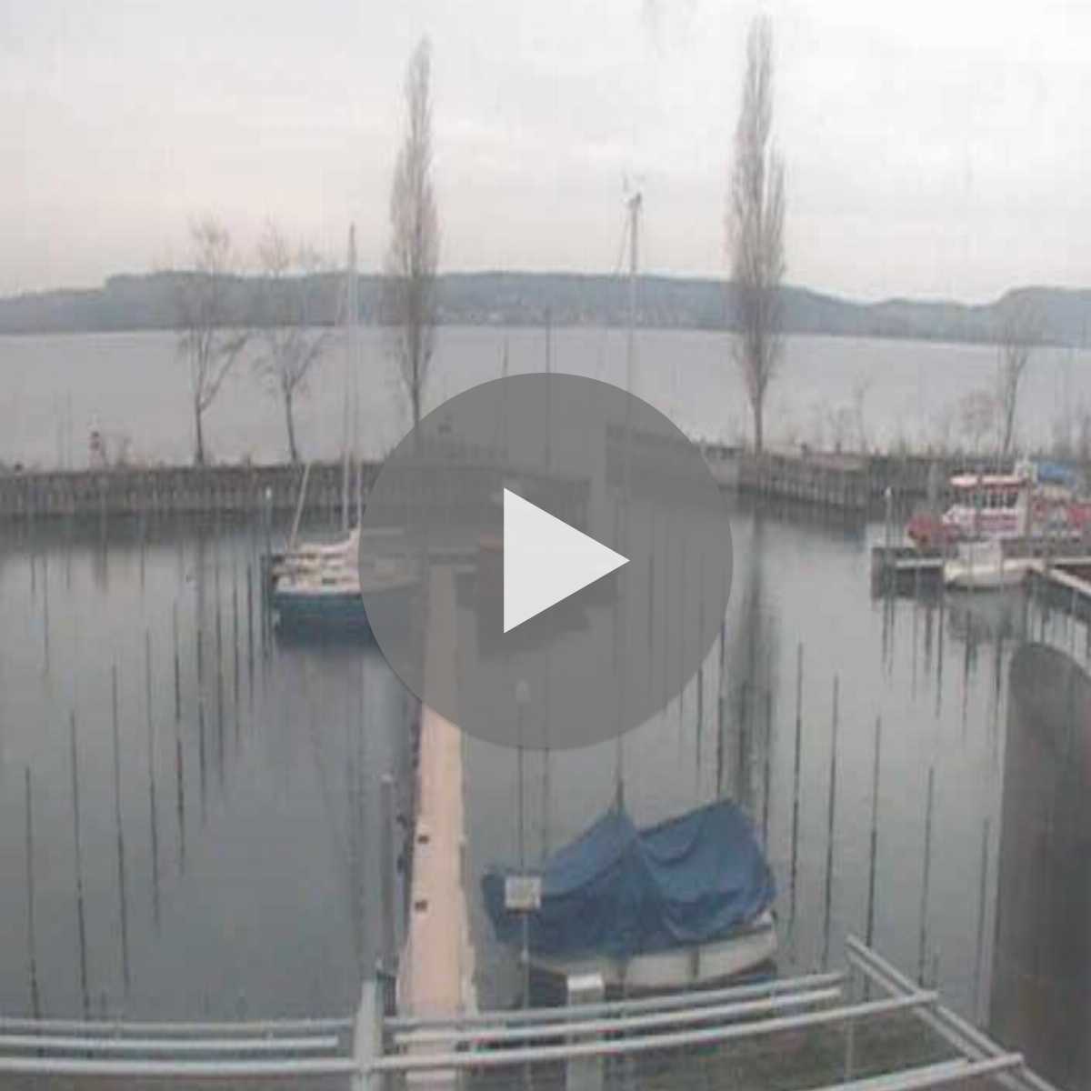 Schallstadt webcam