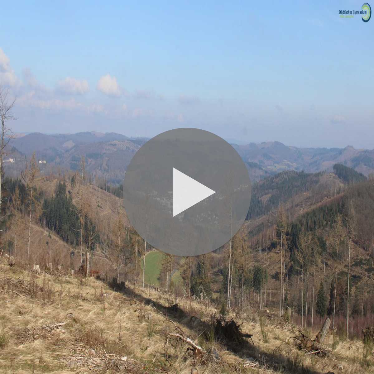 Riesenbeck webcam