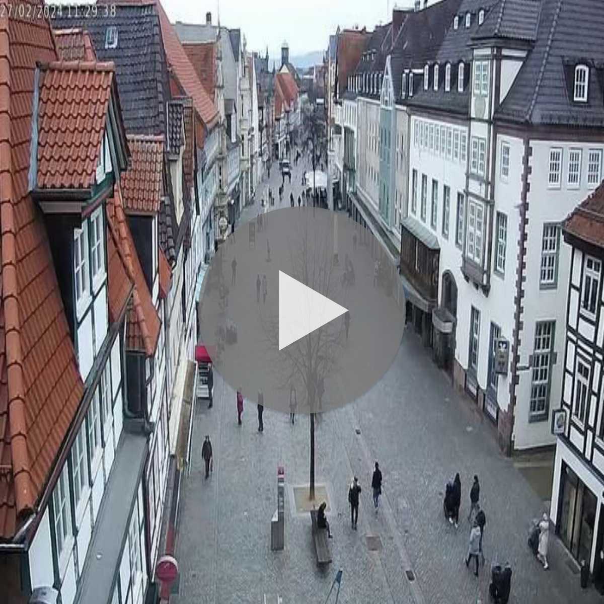 Reppenstedt webcam