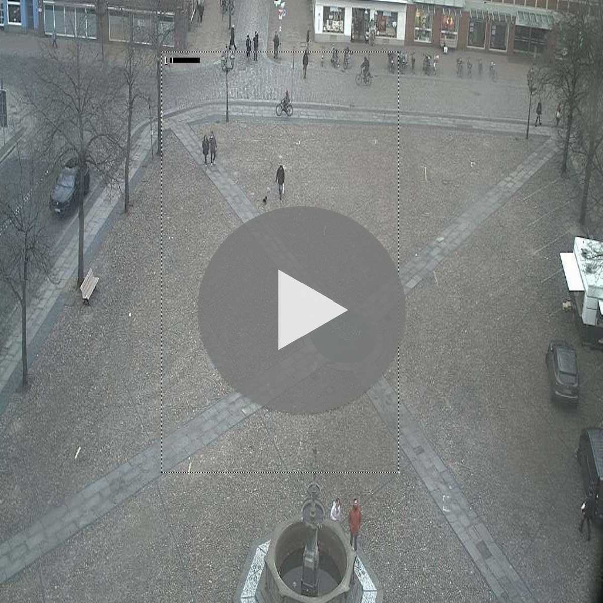 Reppenstedt webcam
