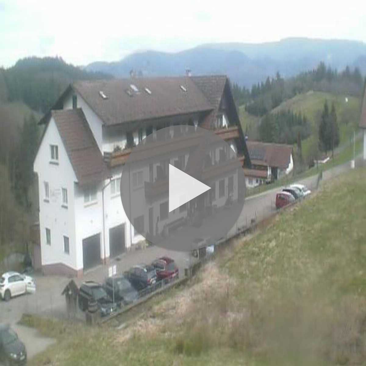 Schallstadt webcam