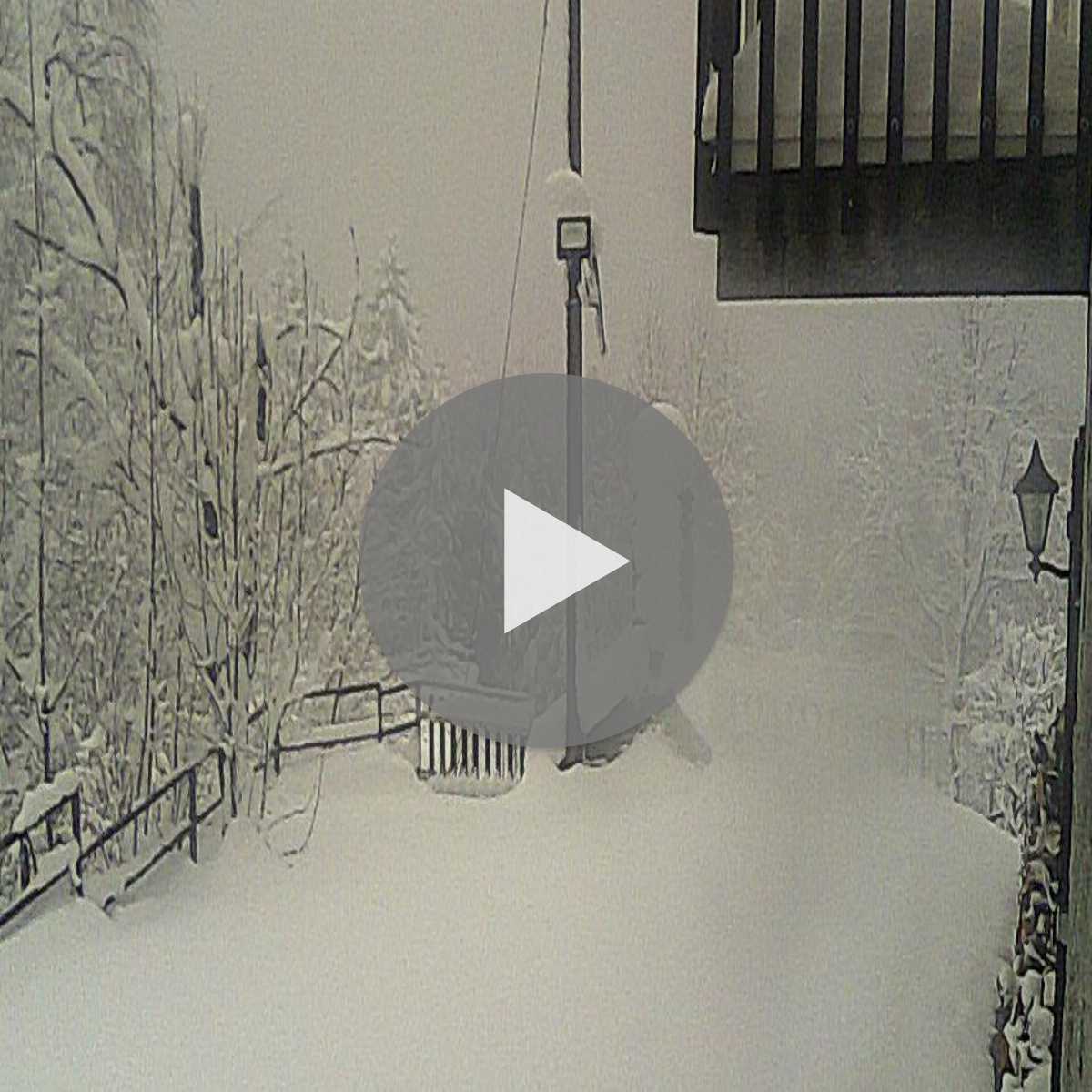 Chiappi webcam