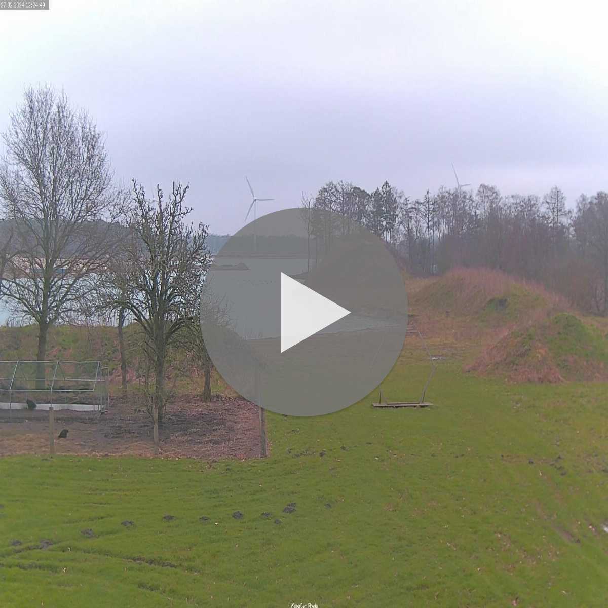 Riesenbeck webcam