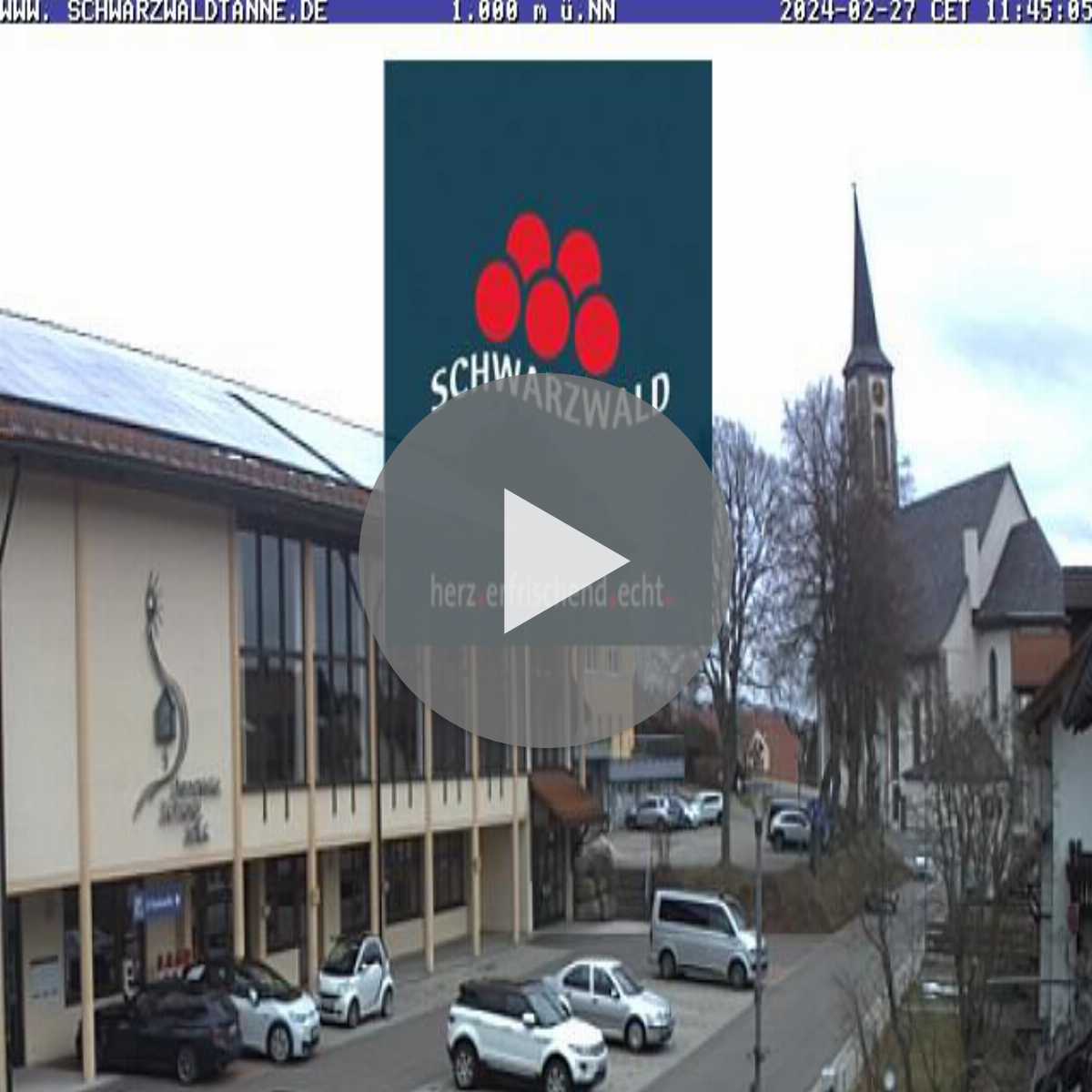 Schallstadt webcam