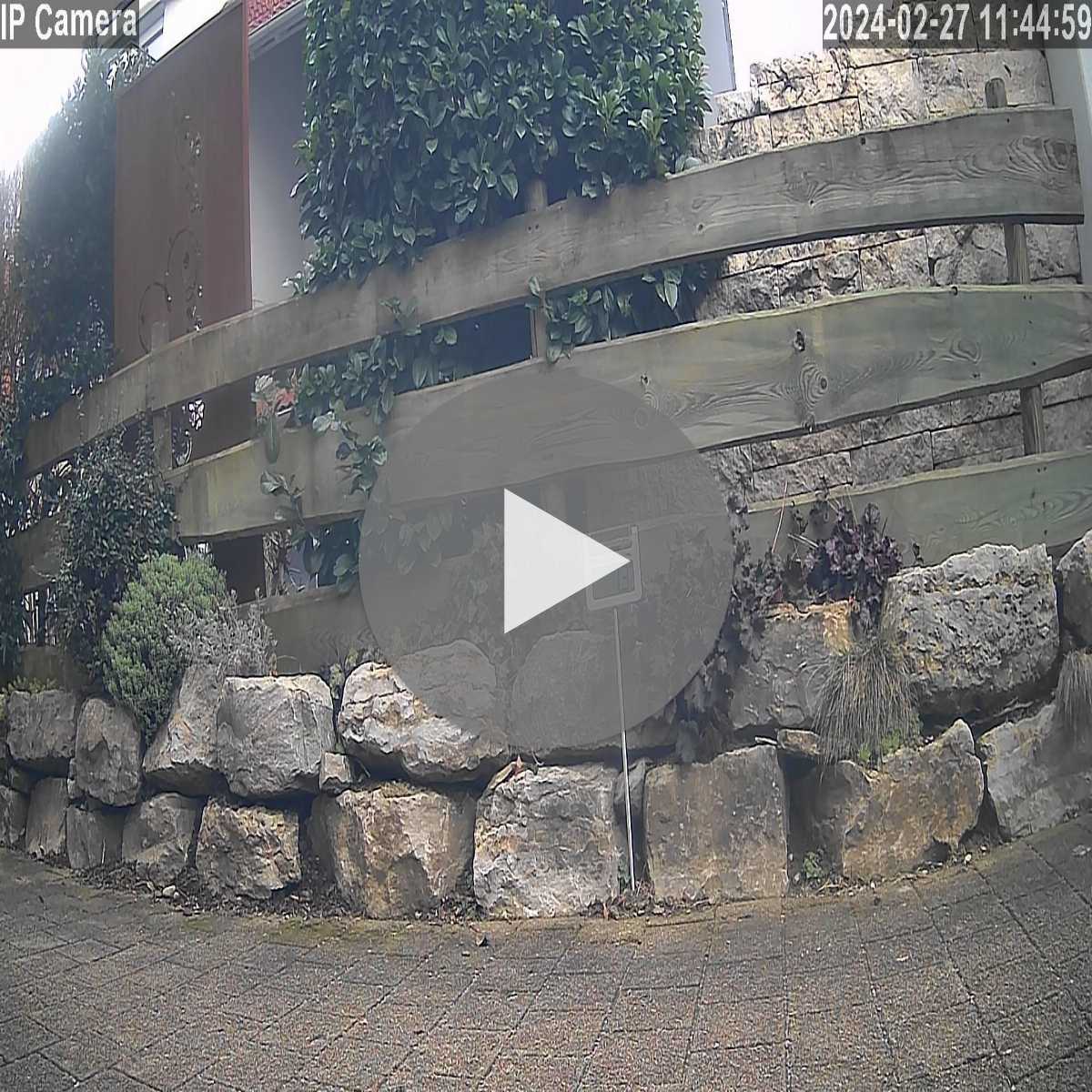 Schallstadt webcam