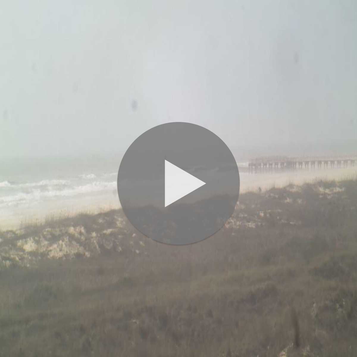 Willis webcam