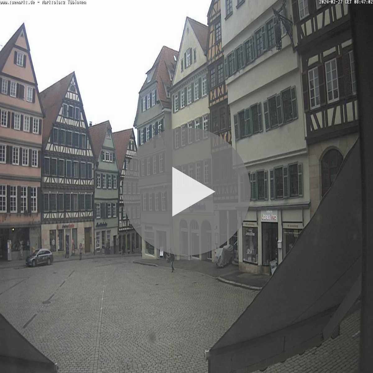 Schallstadt webcam