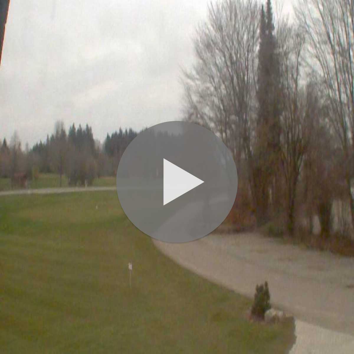 Schallstadt webcam