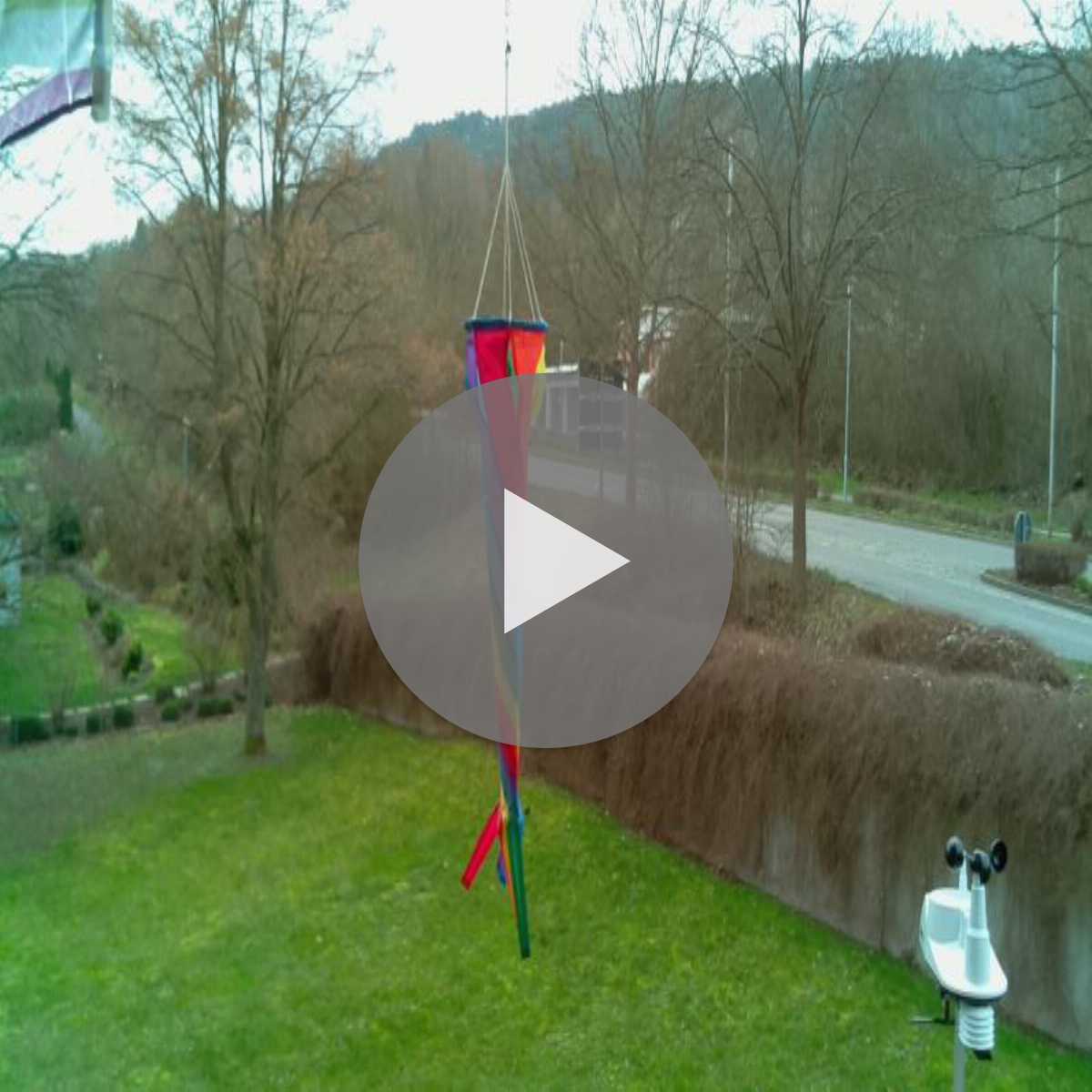 Schallstadt webcam