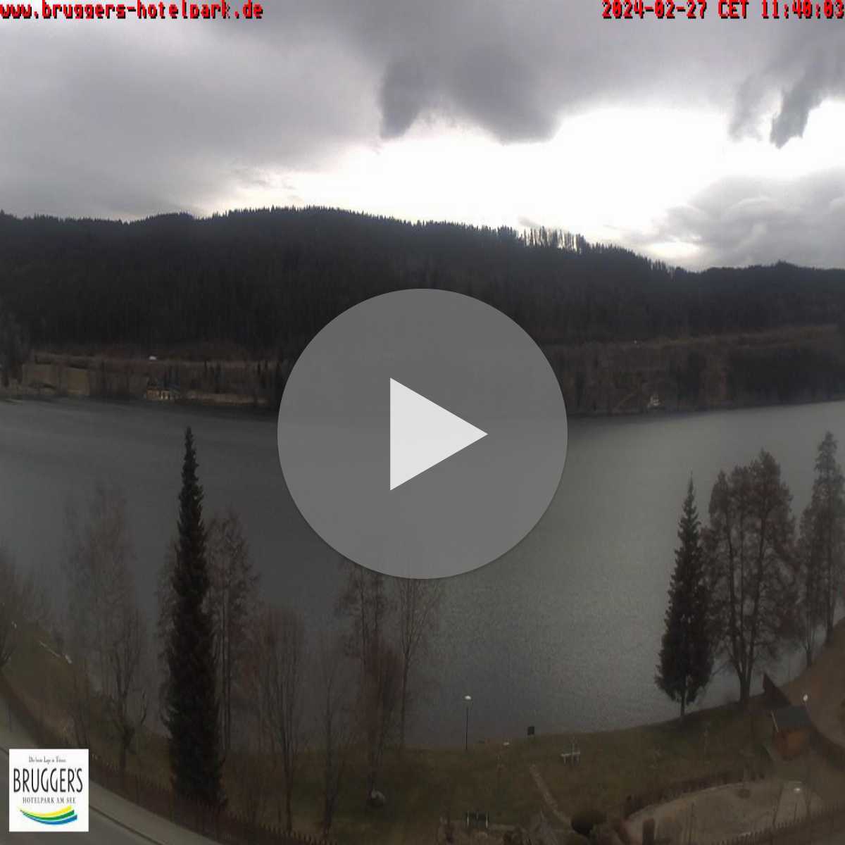 Schallstadt webcam