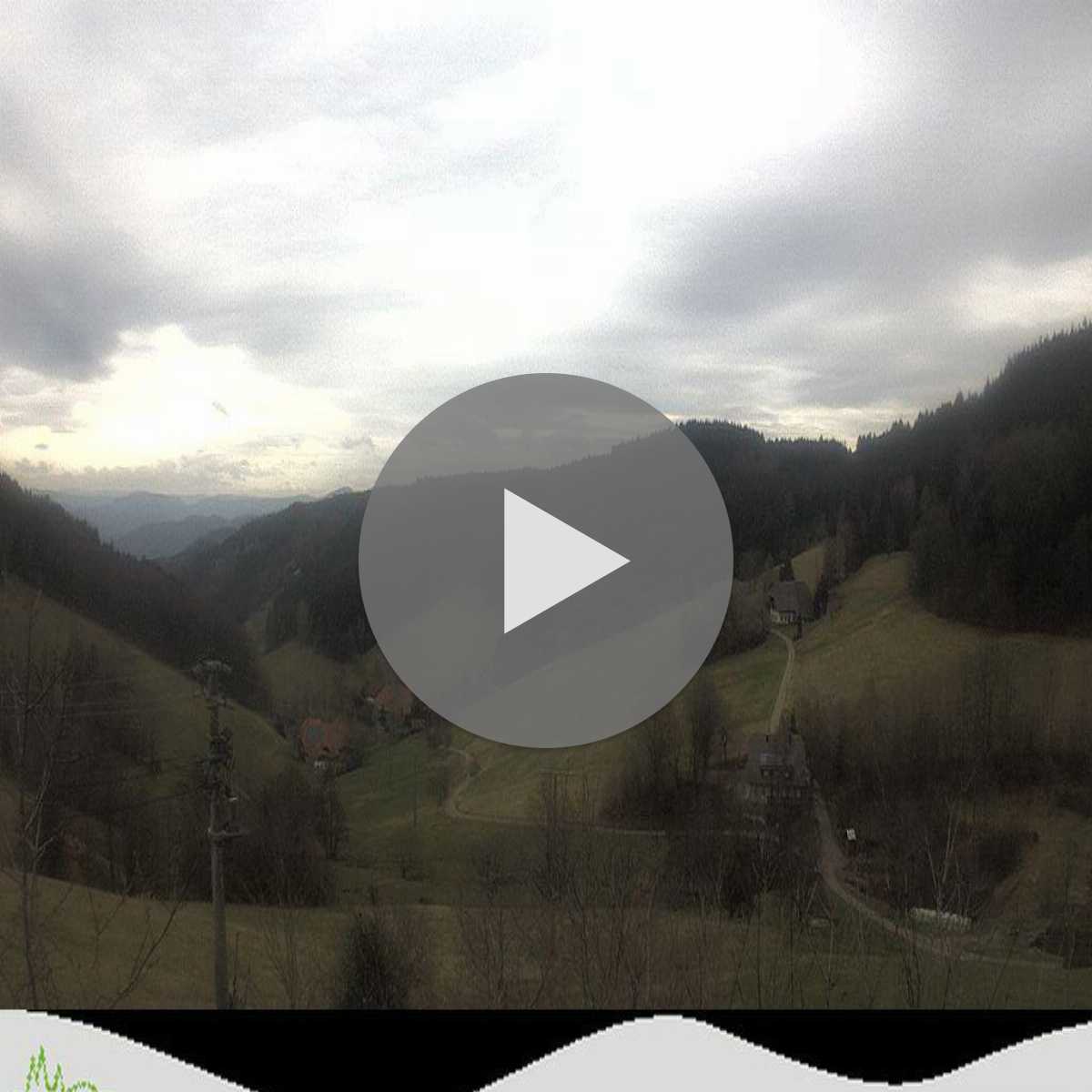Schallstadt webcam