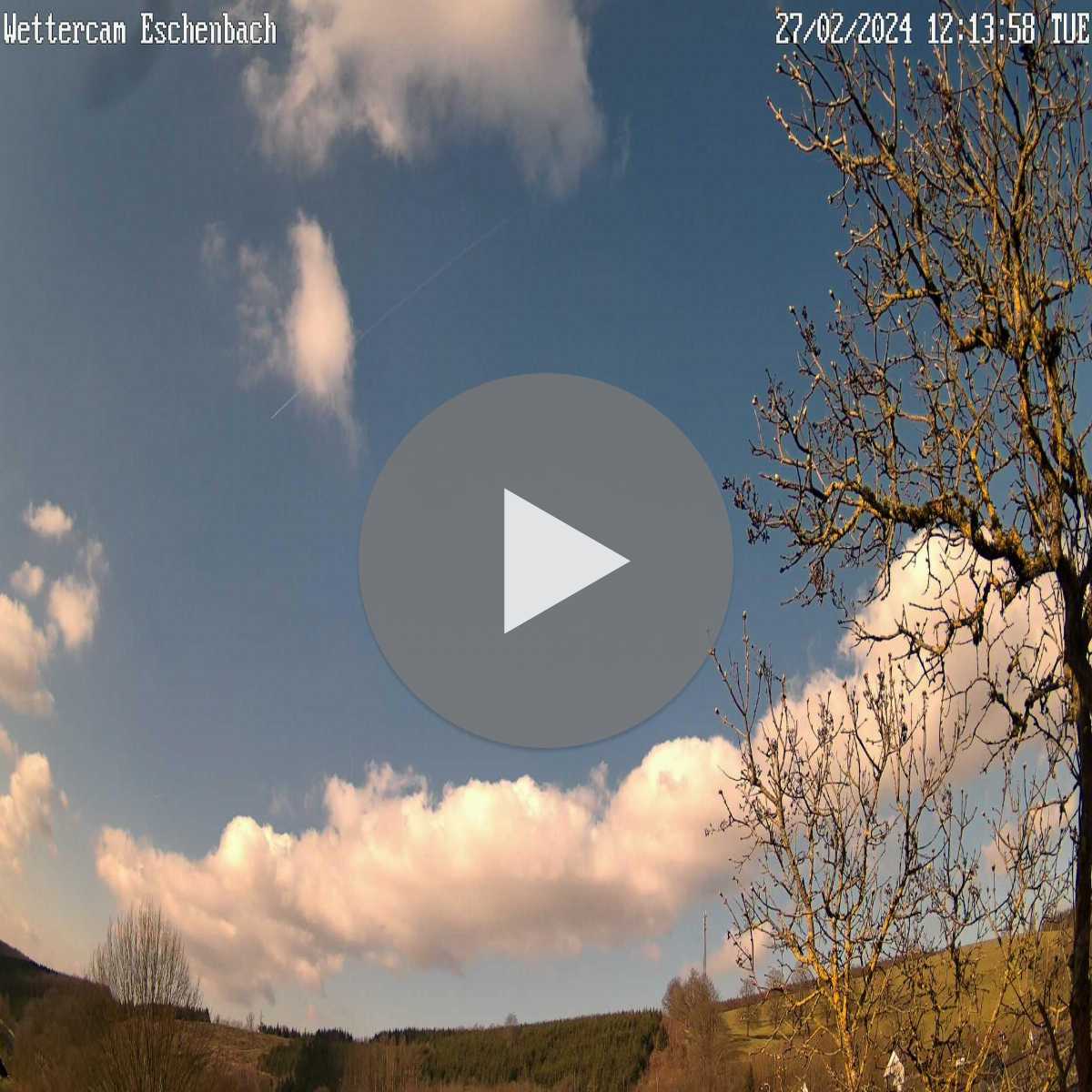 Riesenbeck webcam