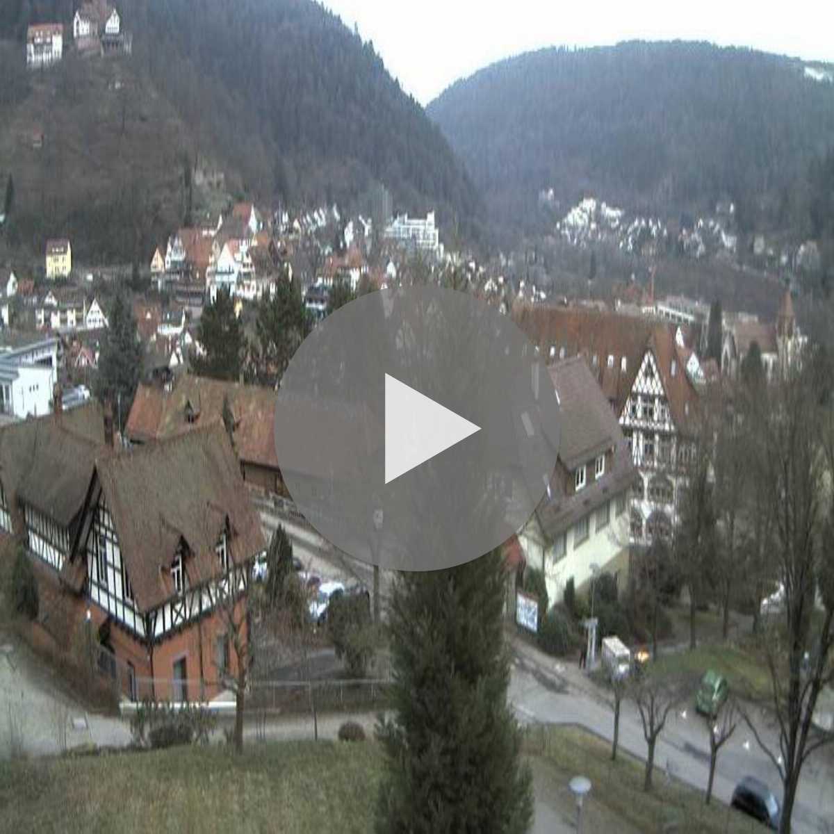 Schallstadt webcam