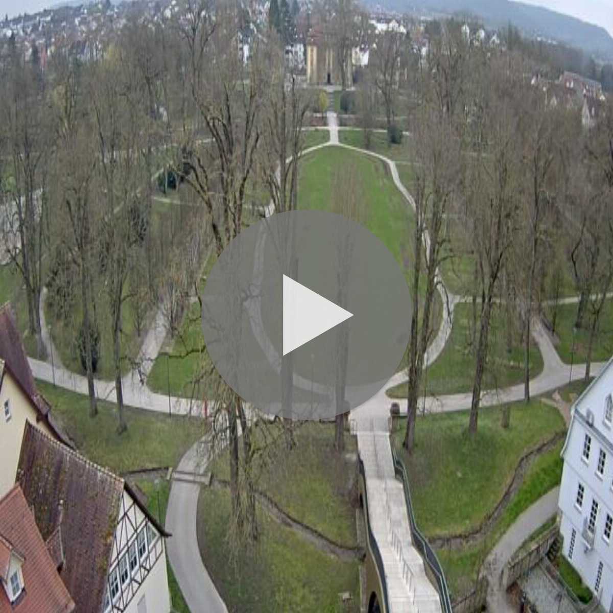 Schallstadt webcam