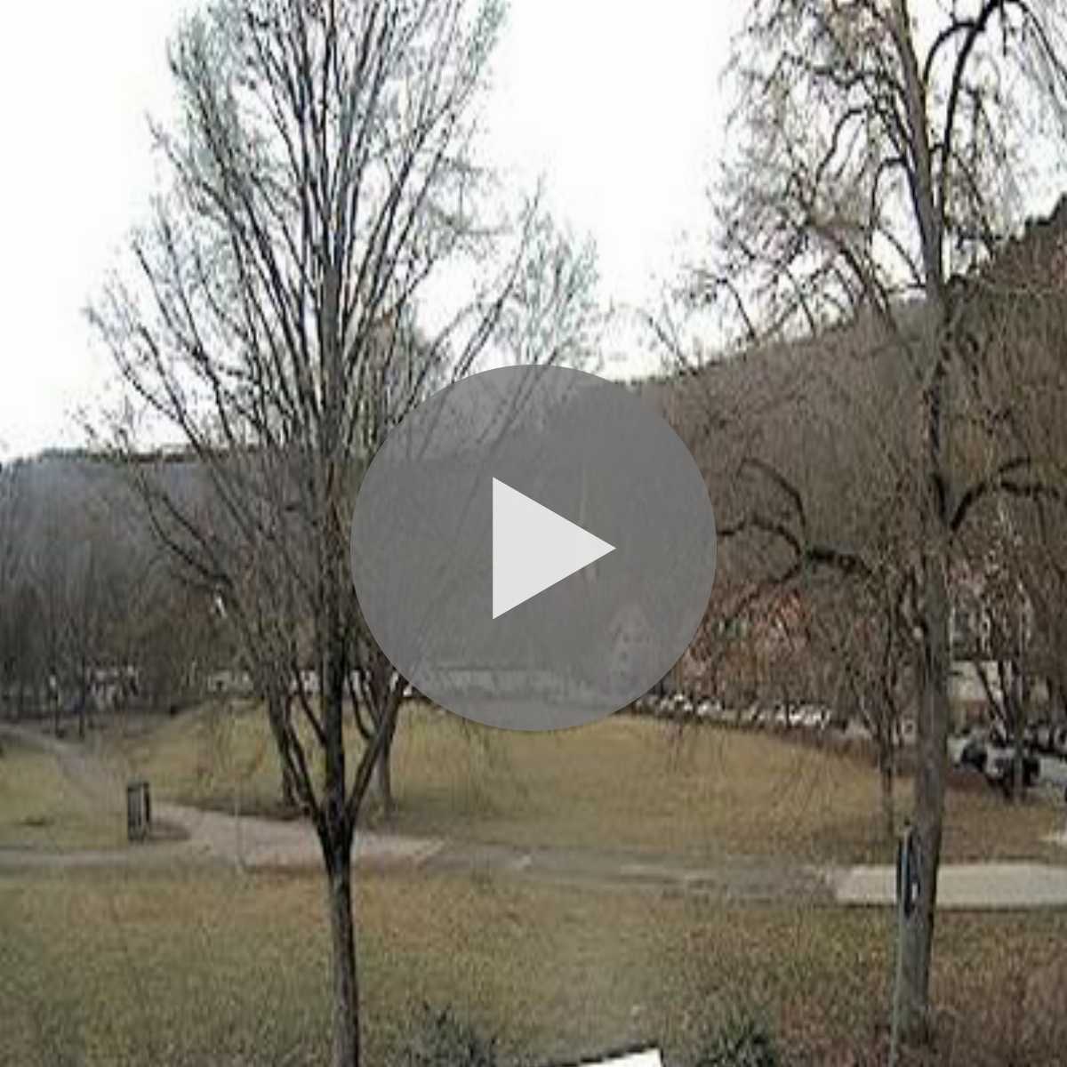 Schallstadt webcam