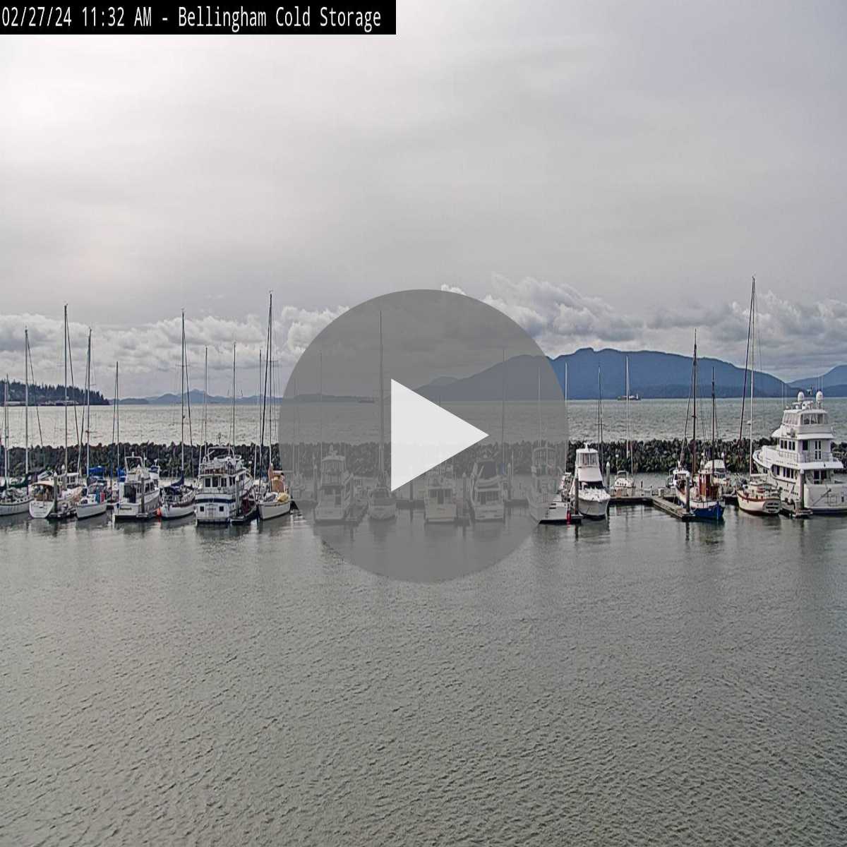 Kingston webcam