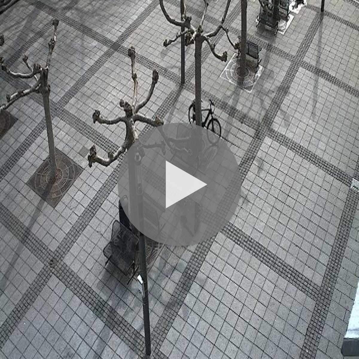 Riesenbeck webcam