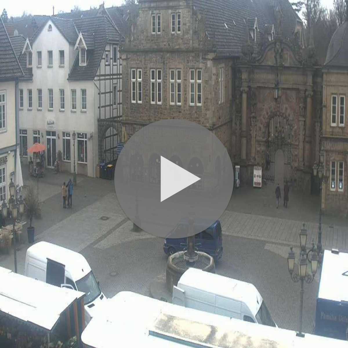 Reppenstedt webcam