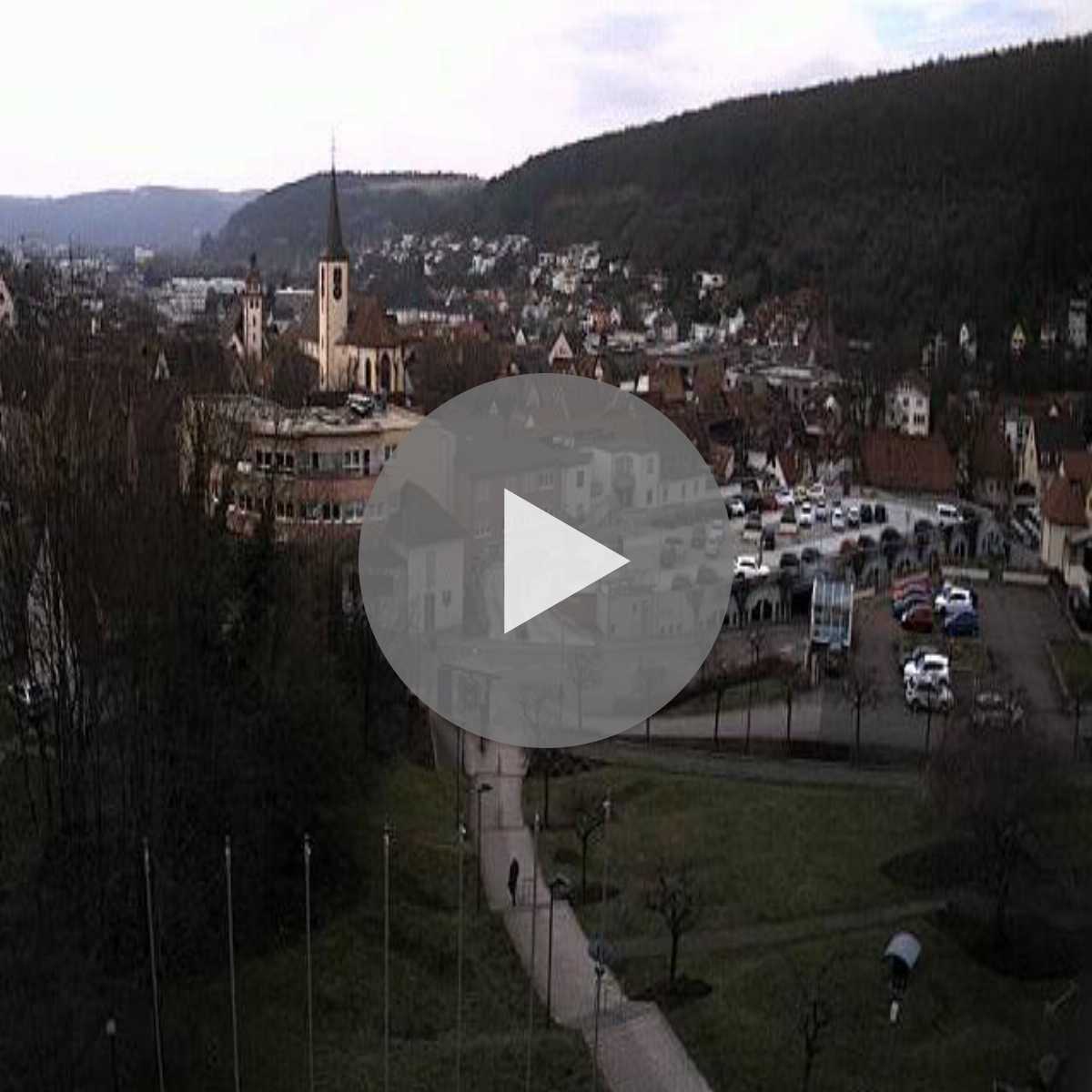 Schallstadt webcam