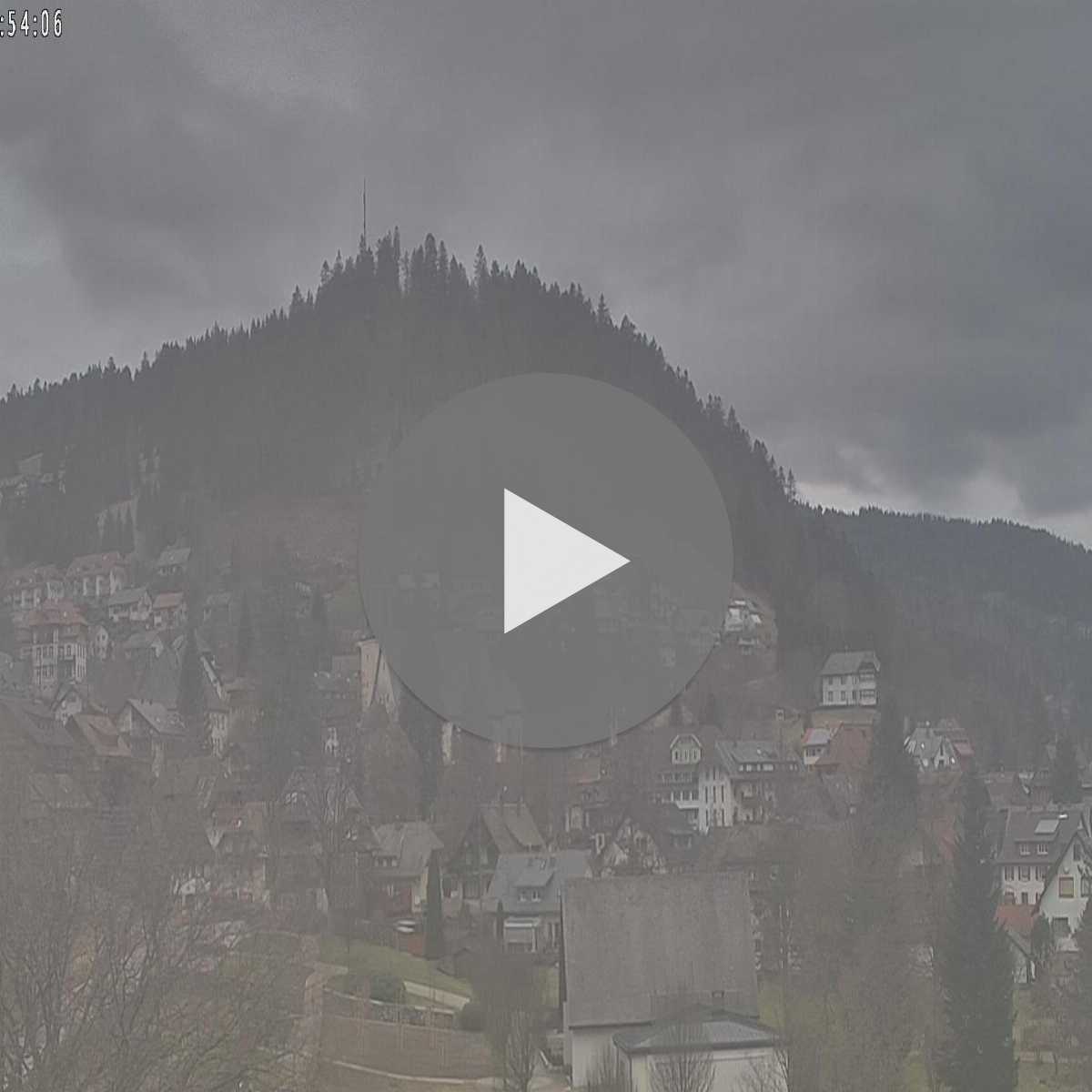 Schallstadt webcam