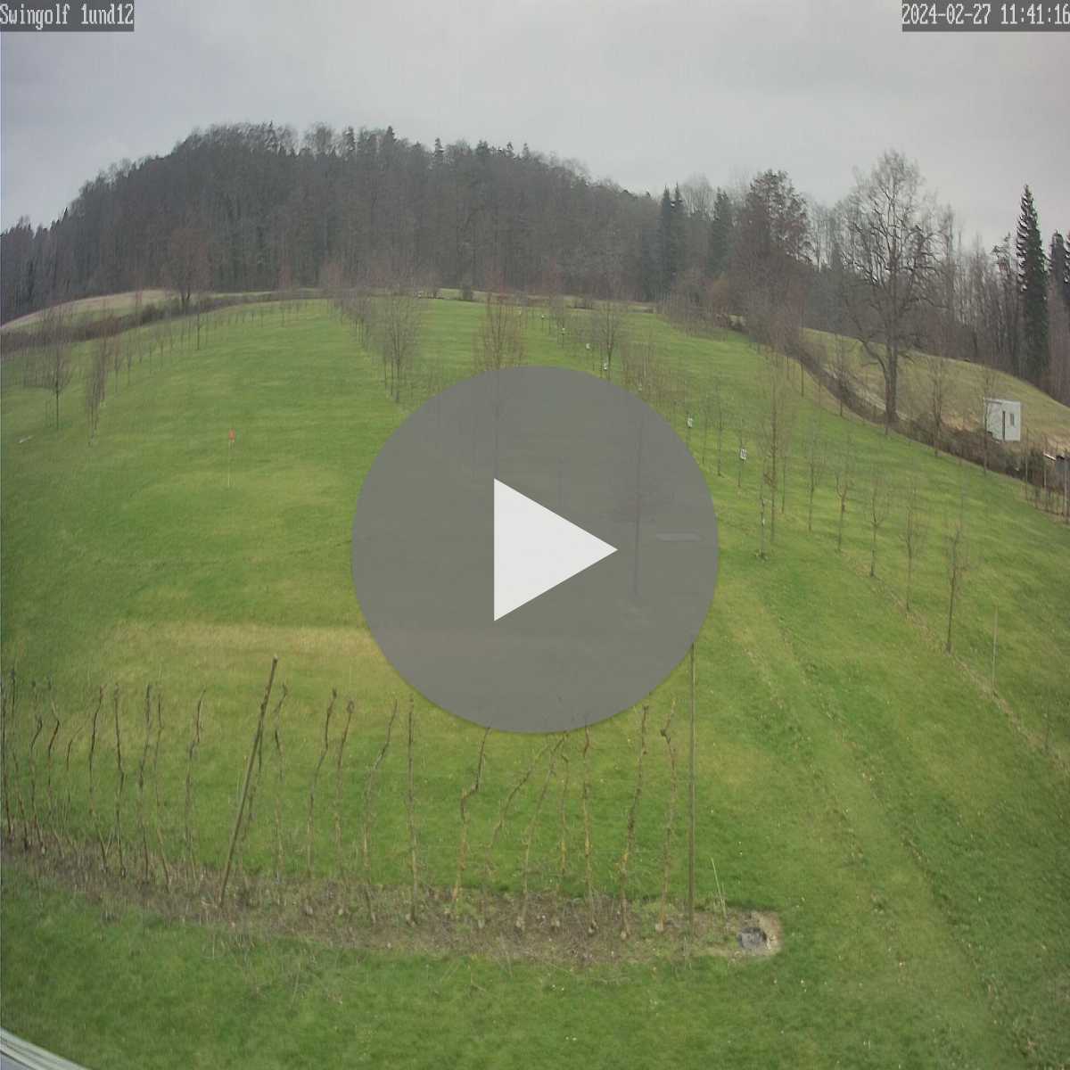 Schallstadt webcam