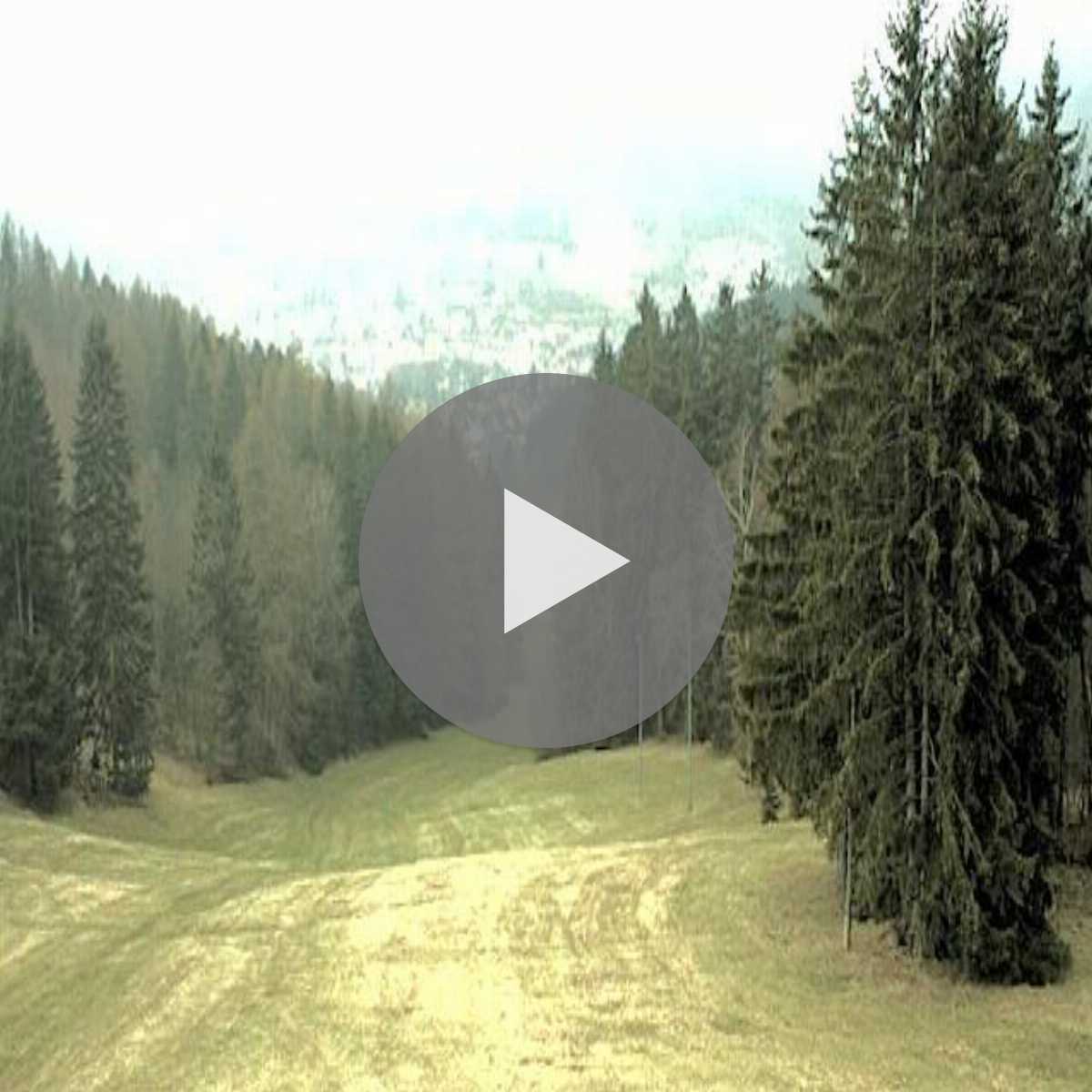 Obermassfeld Grimmenthal webcam