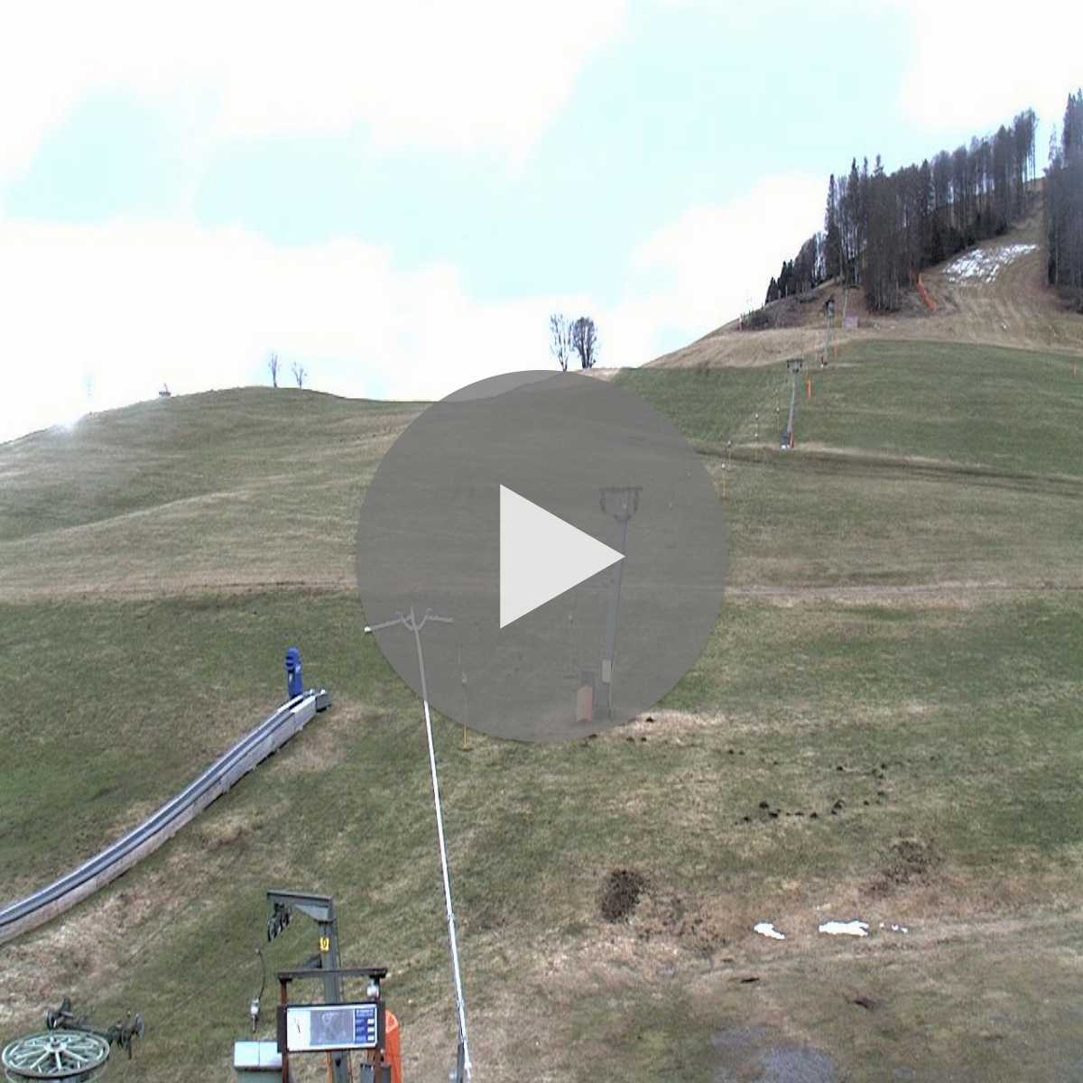 Schallstadt webcam